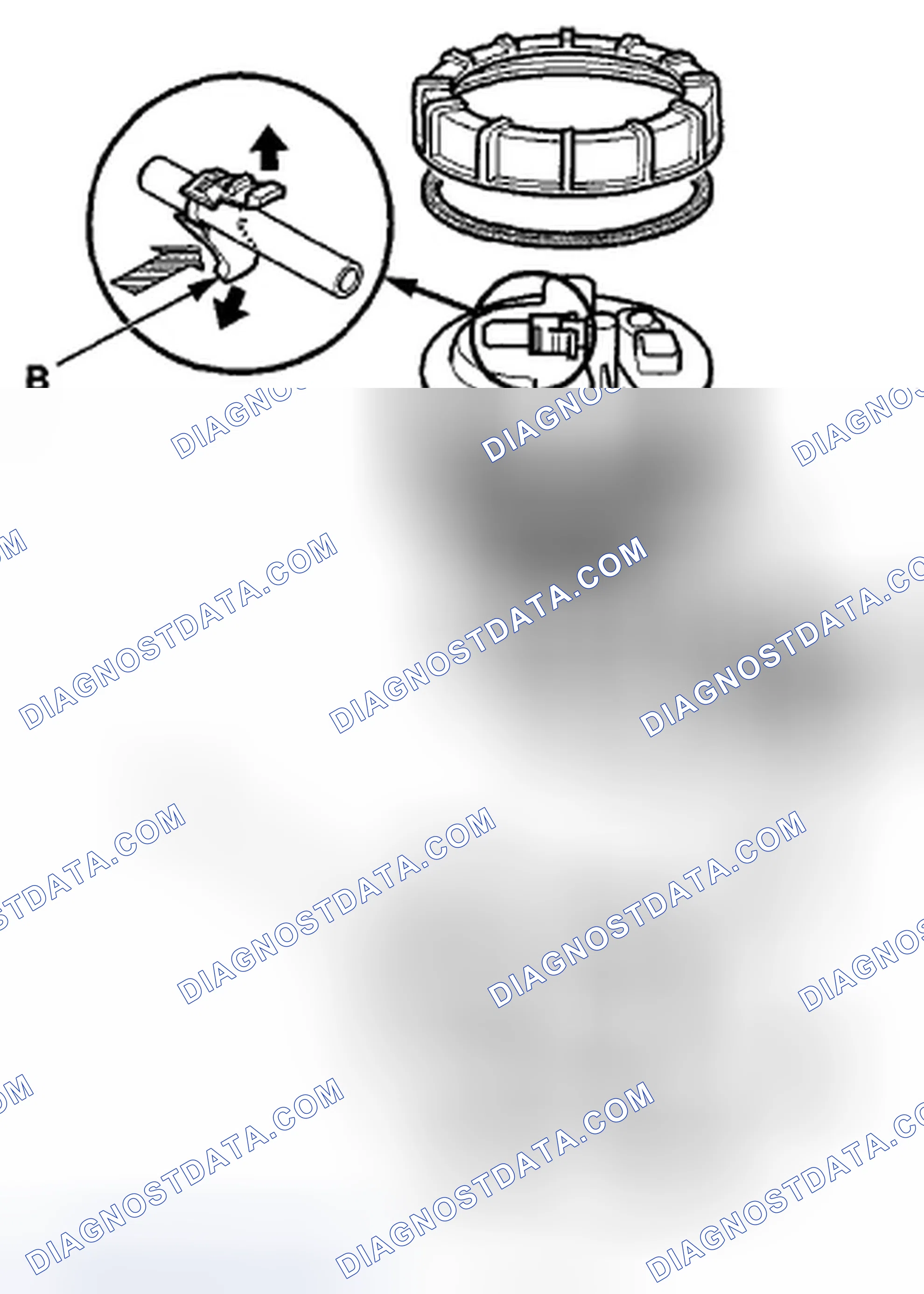 Scheme 217
