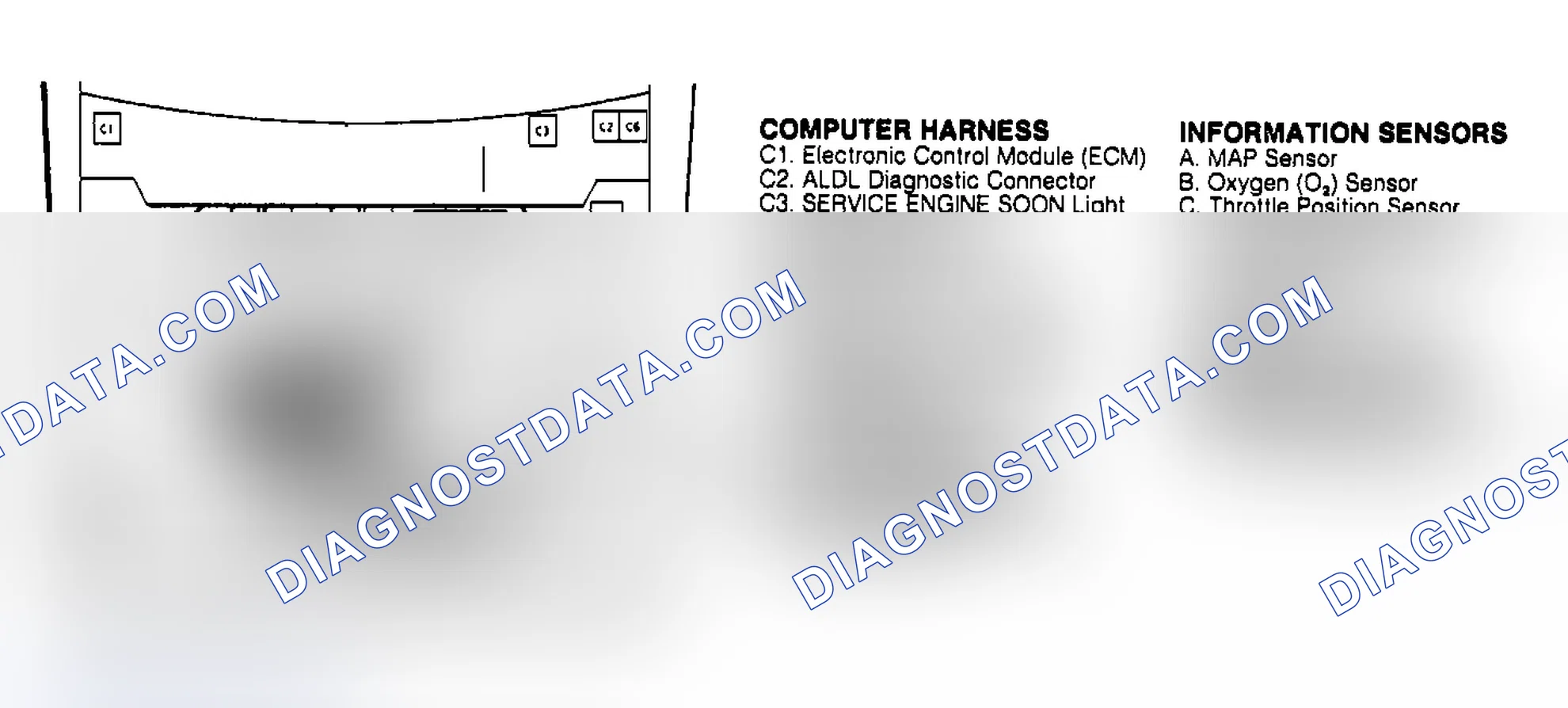 Scheme 177