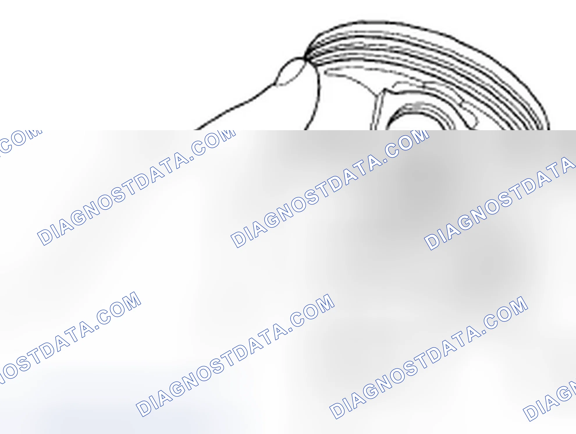 Scheme 303: Reassembly