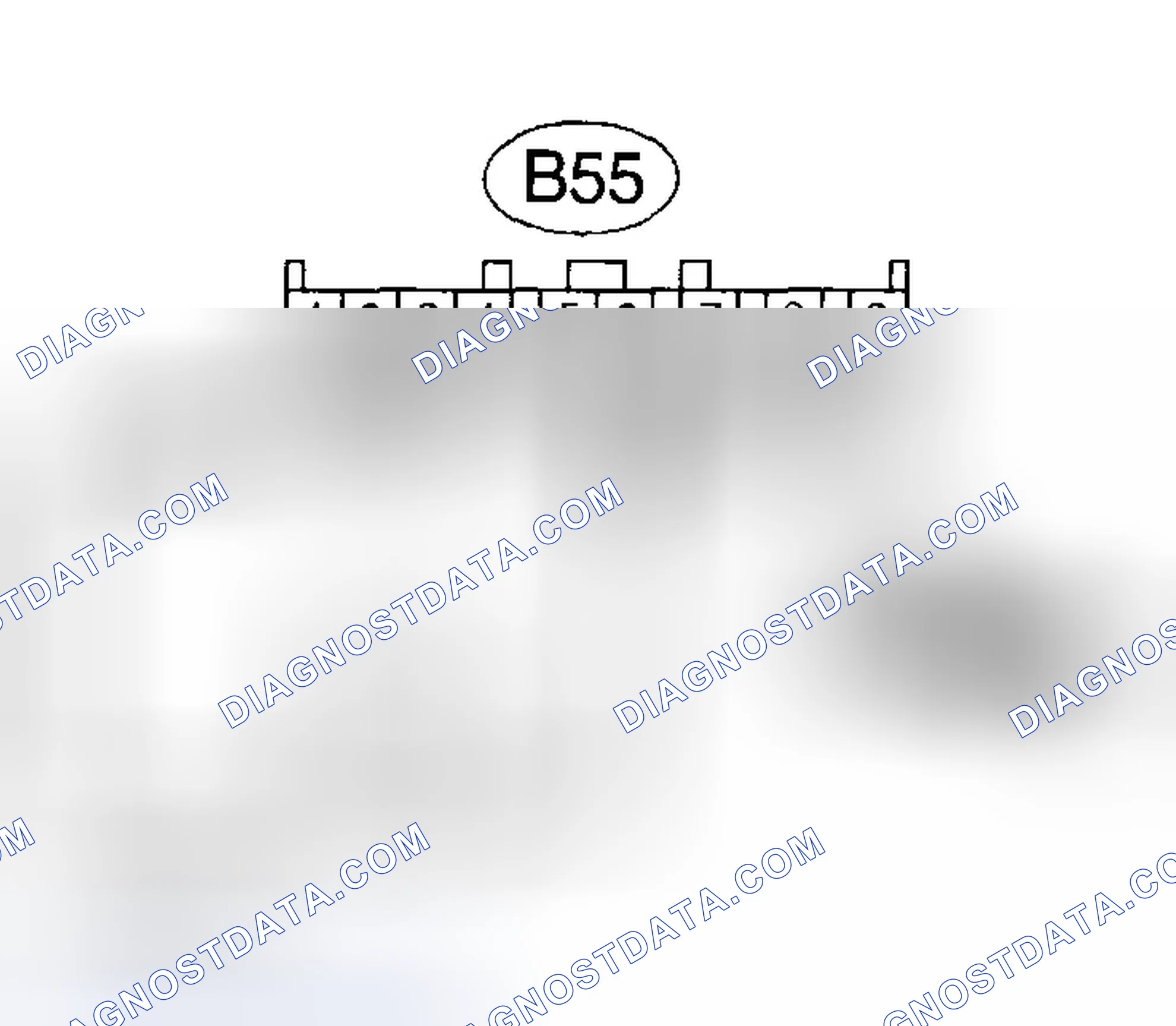 Scheme 405: Diagnostic Procedure