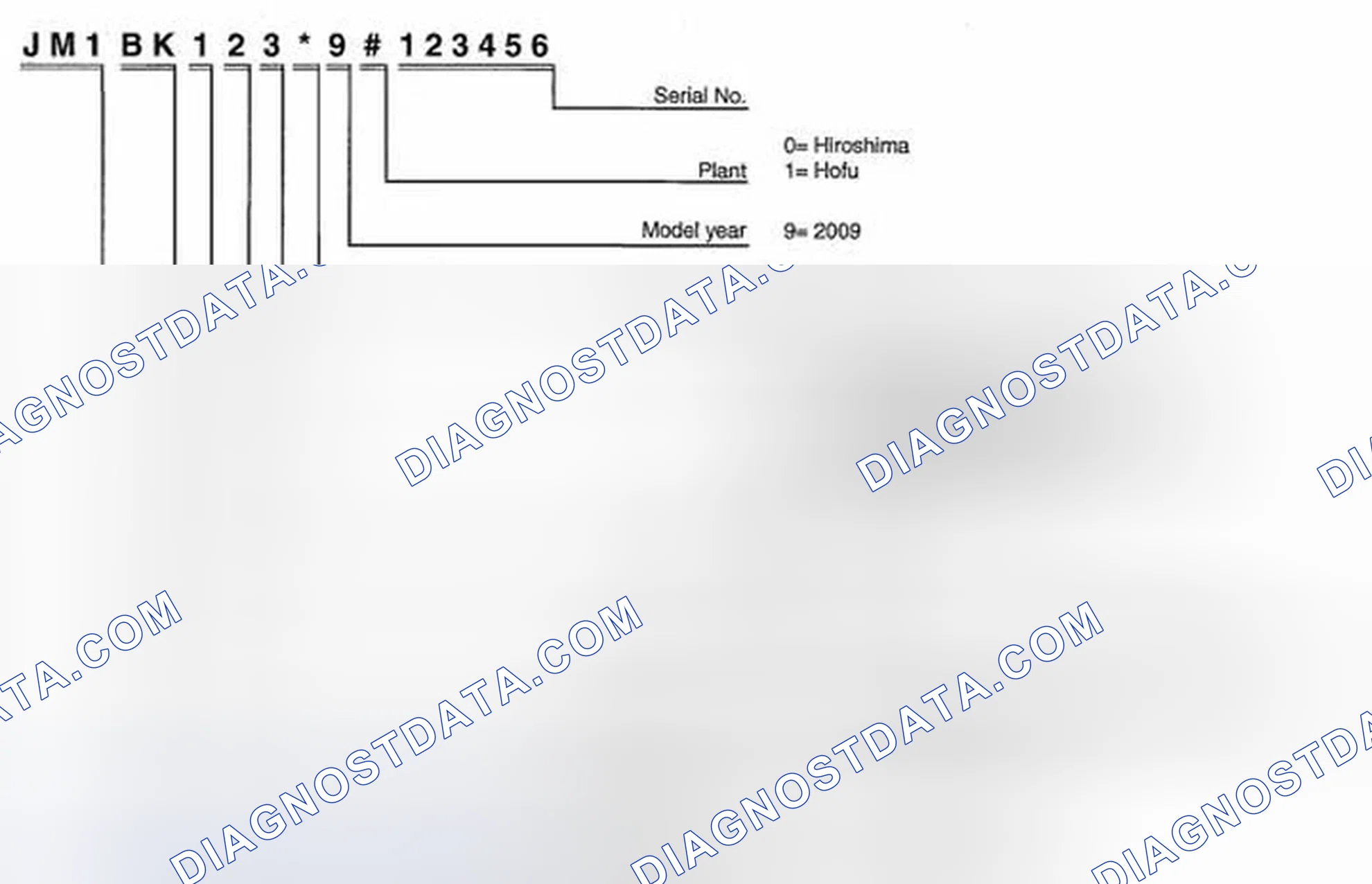 Scheme 1: VEHICLE IDENTIFICATION NUMBER (VIN) CODE