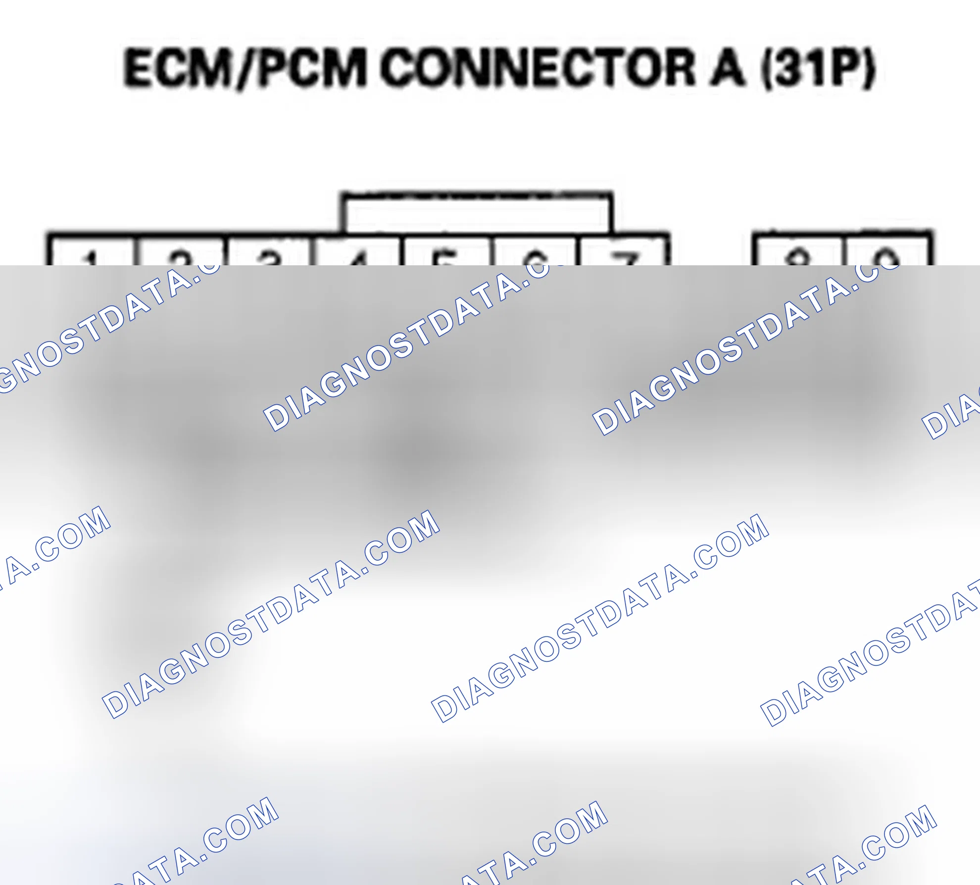 Scheme 377