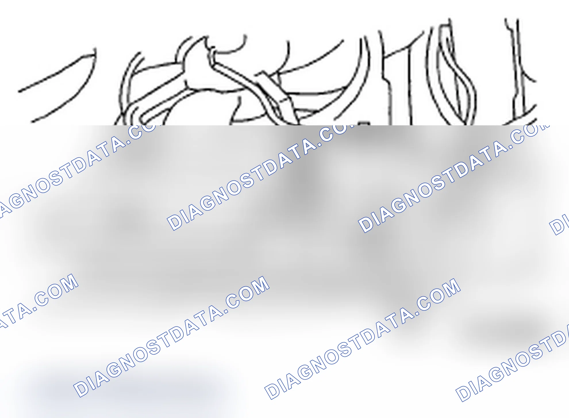 Scheme 22: DRAINING OF ENGINE COOLANT