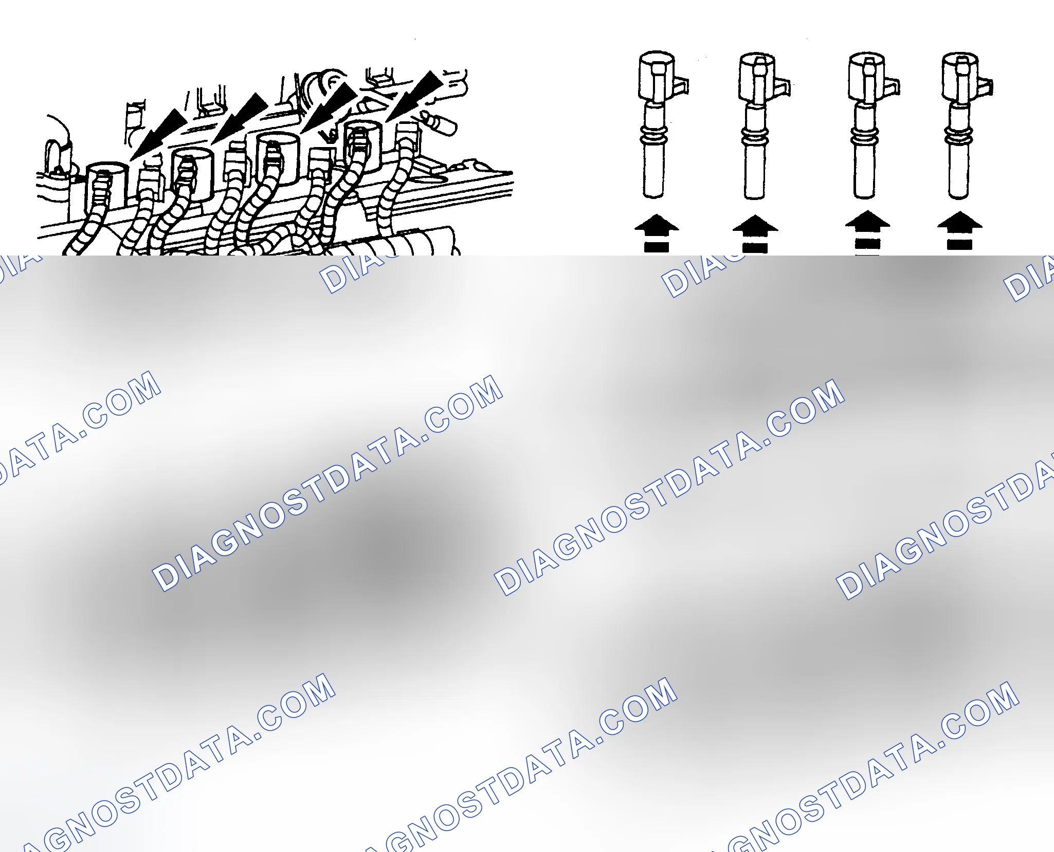 Scheme 18: Spark Plug Coils (4.6L & 5.4L)