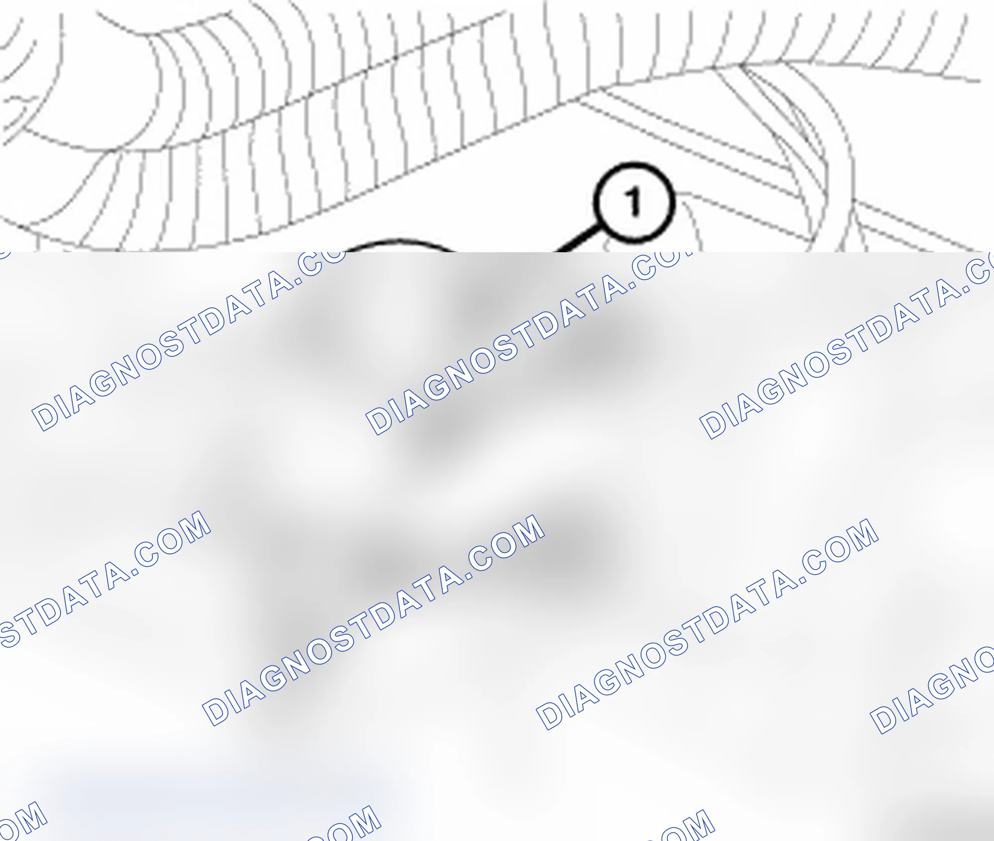 Scheme 8: CAPACITOR - IGNITION COIL