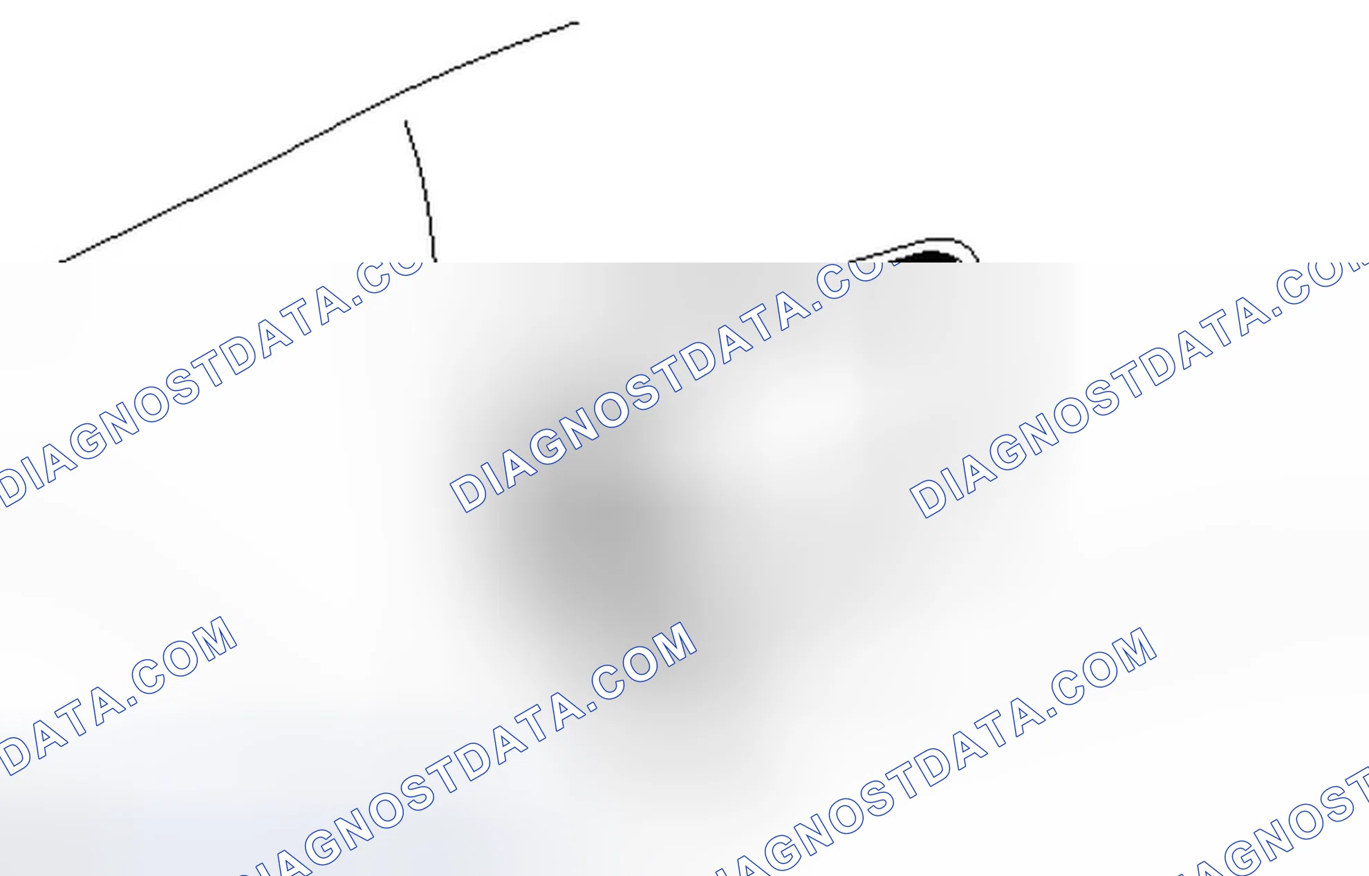 Scheme 37: REMOVAL [05/2013 - ]