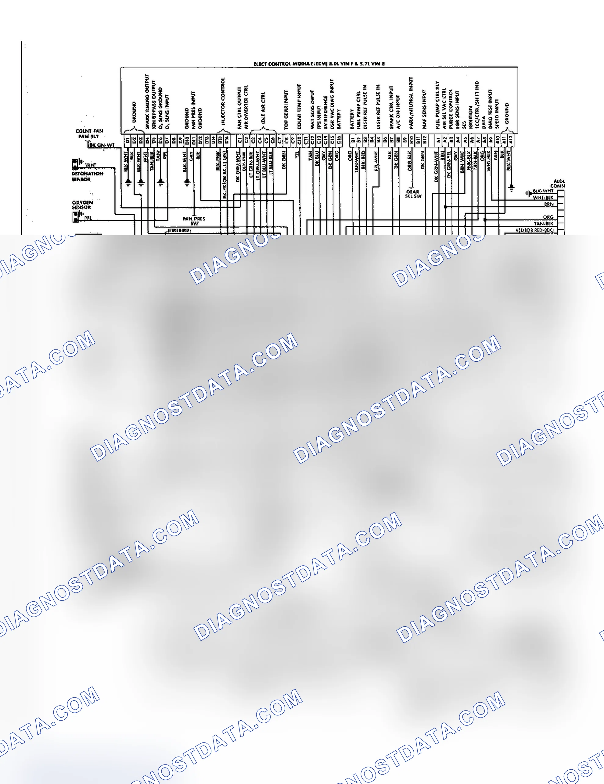 Scheme 28: Camaro & Firebird 5.0 & 5.7L Fuel Injection Wiring Diagram