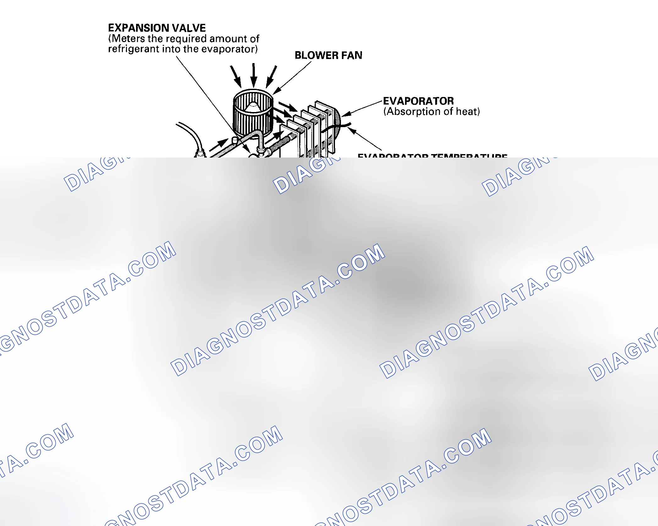 Scheme 5: System Description