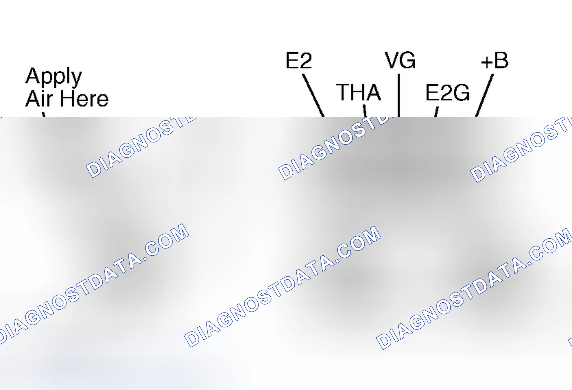 Scheme 516