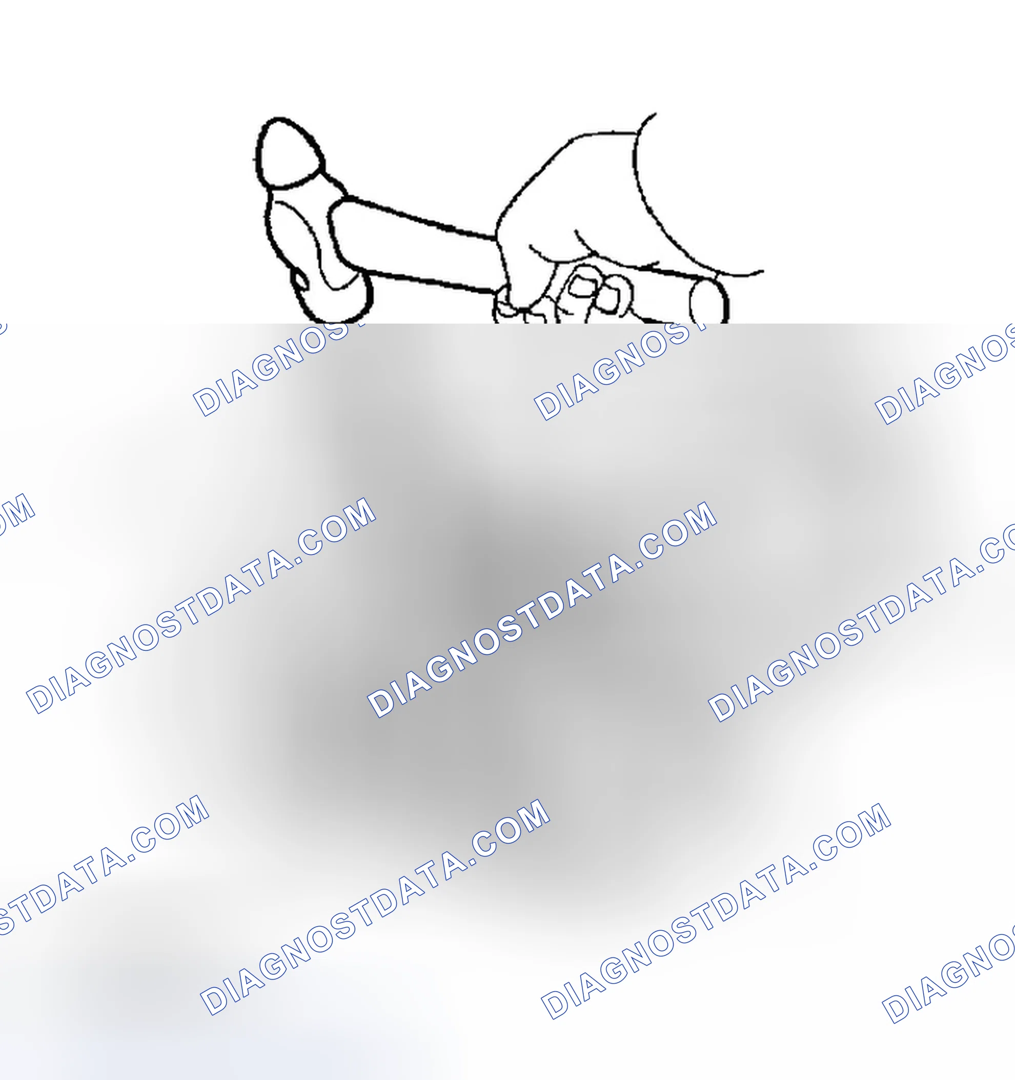 Scheme 36