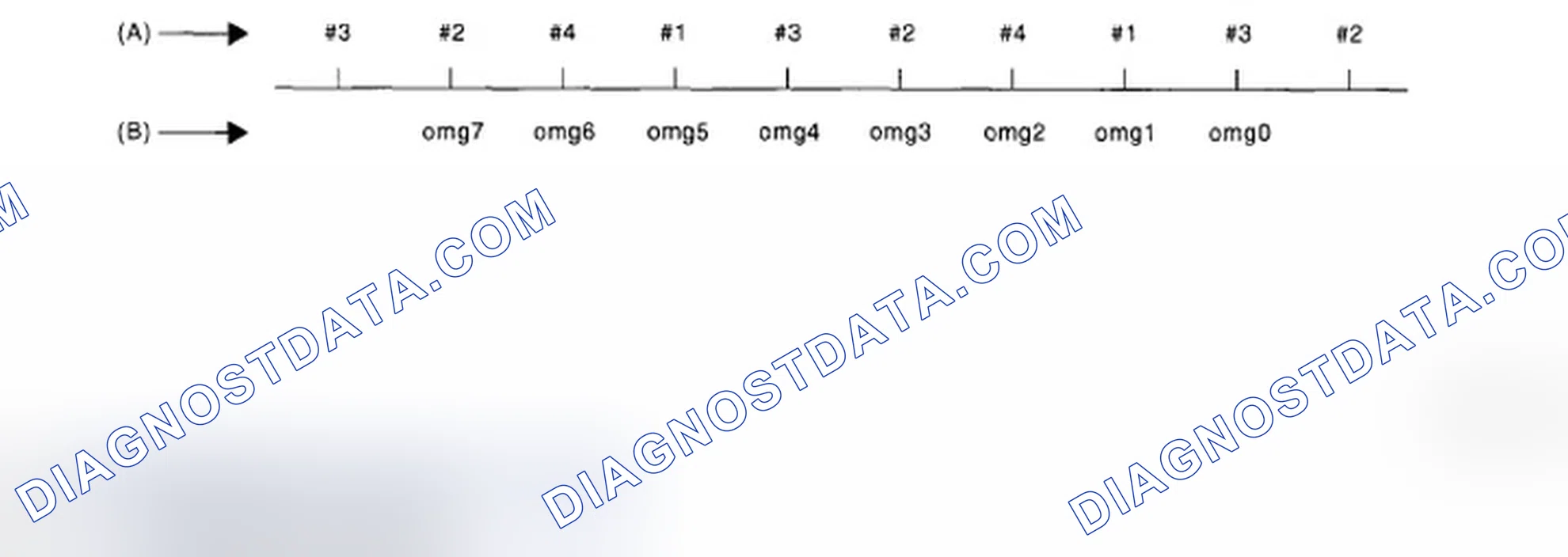 Scheme 258: Identifying Crankshaft Position Speed Chart
