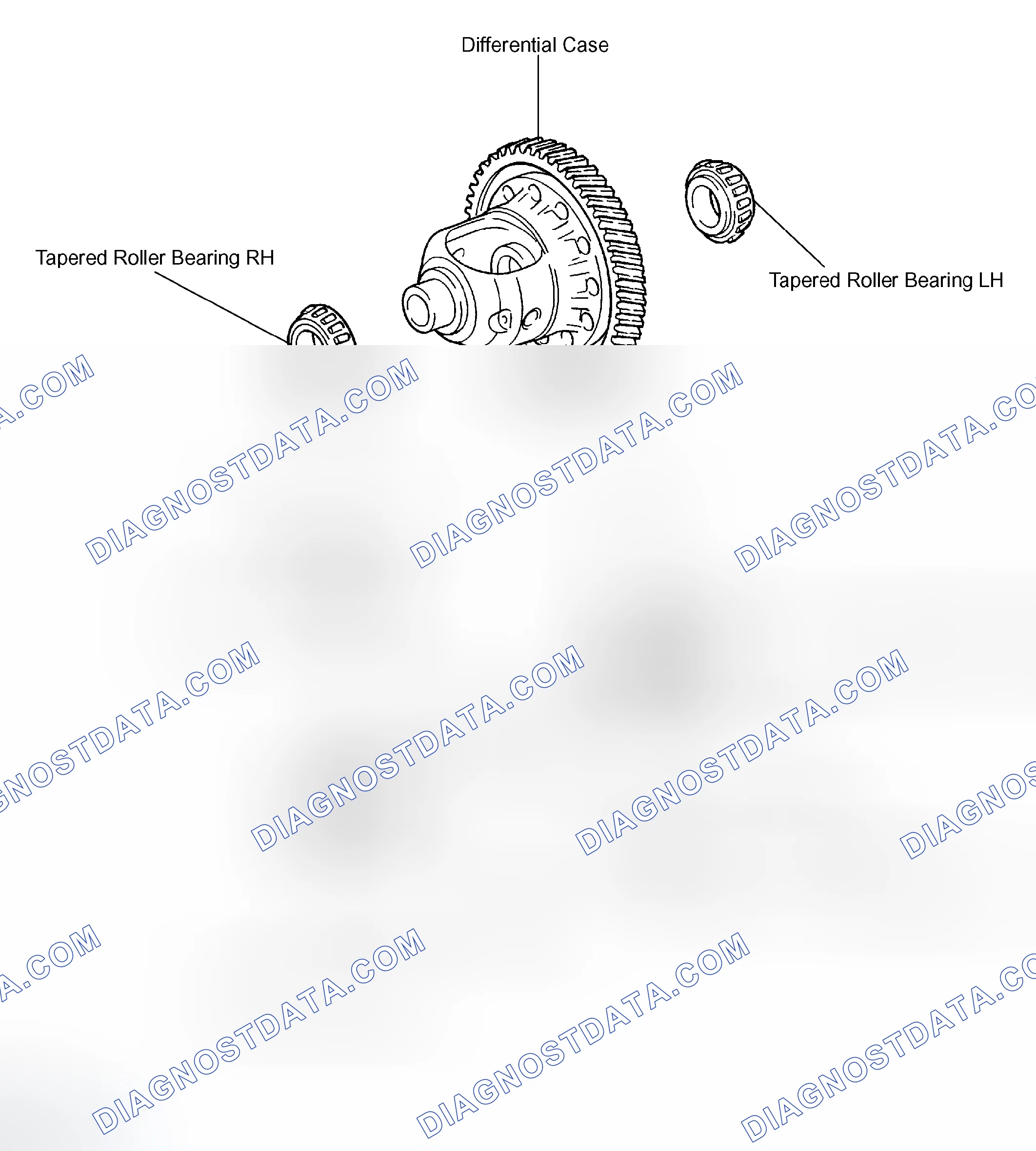 Scheme 175: Exploded View Of Differential Case Components