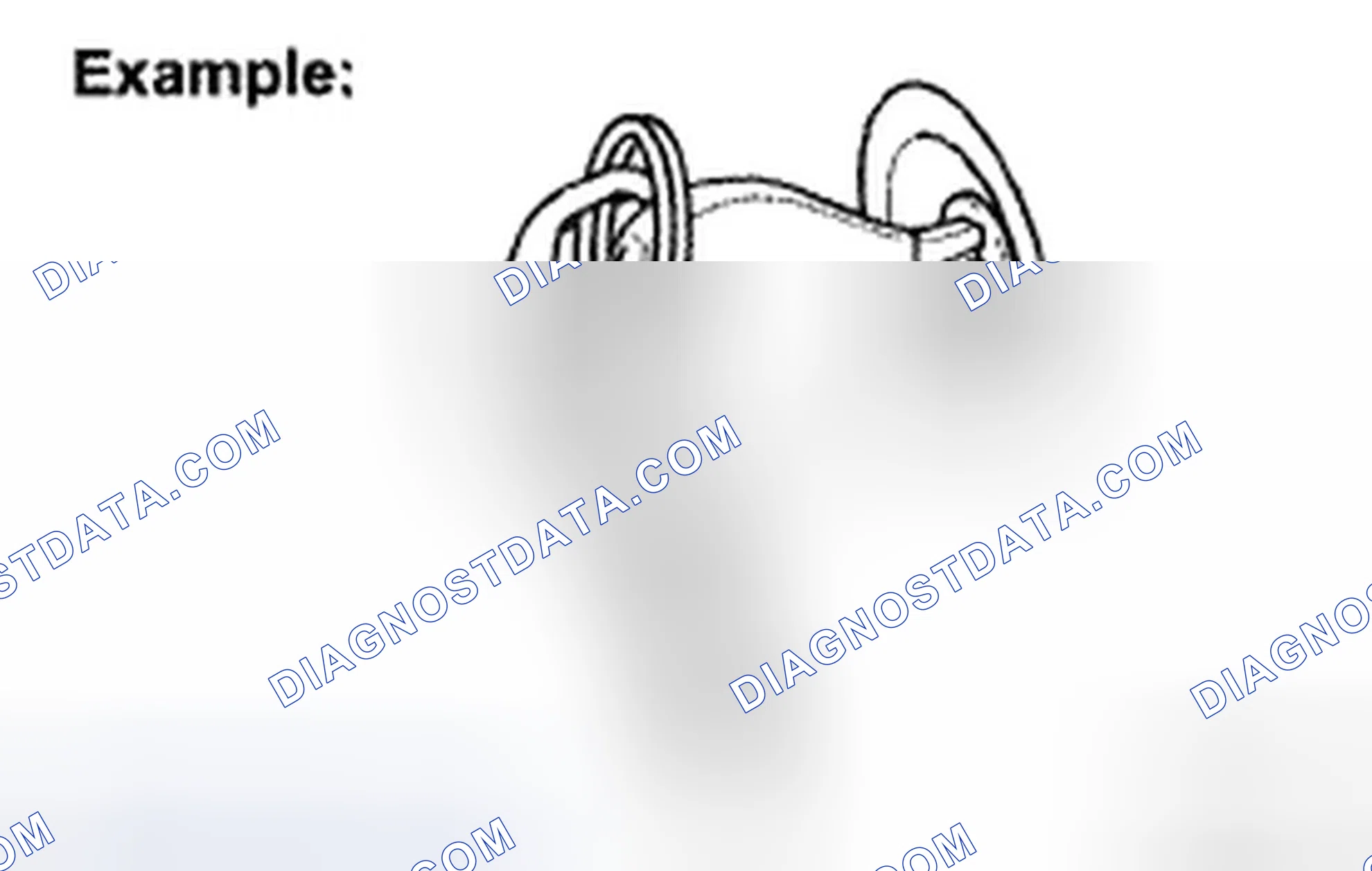 Scheme 9: INSPECTION PROCEDURE