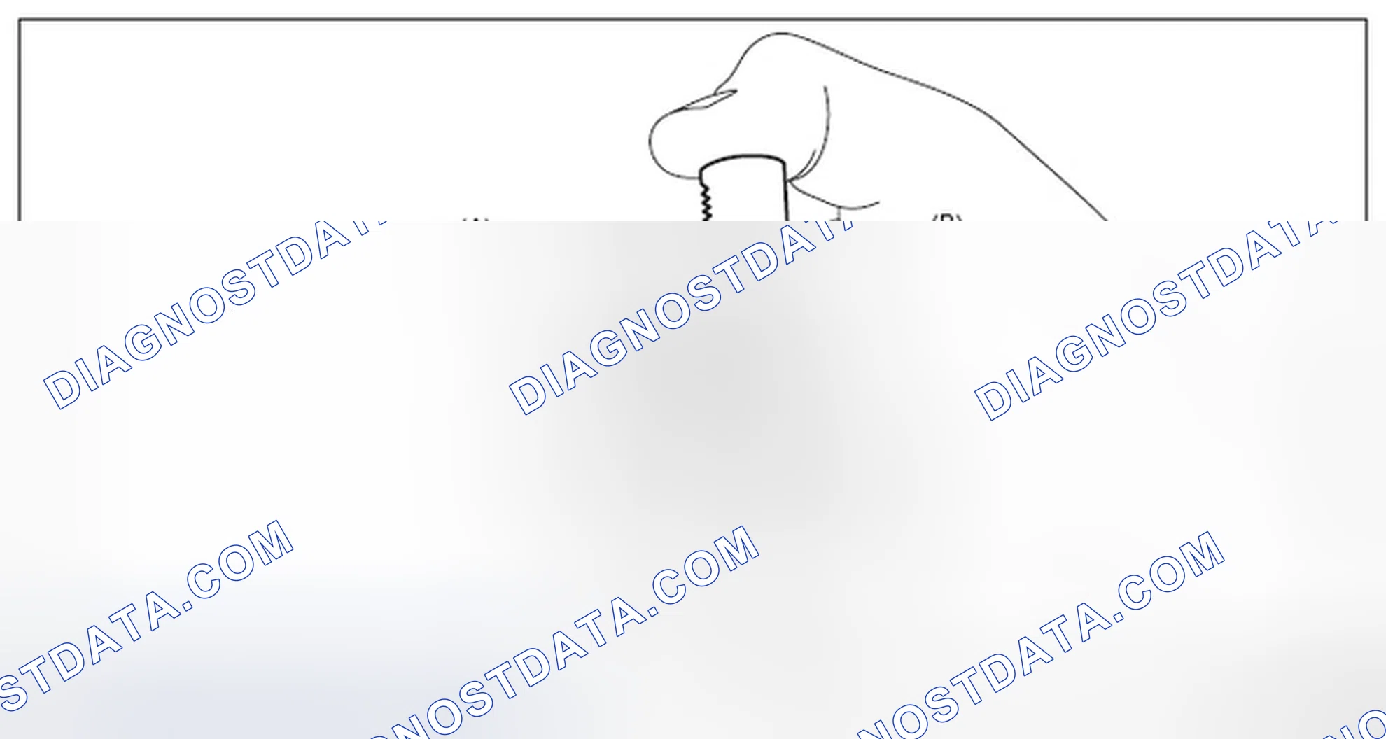 Scheme 169: TIMING CHAIN RH