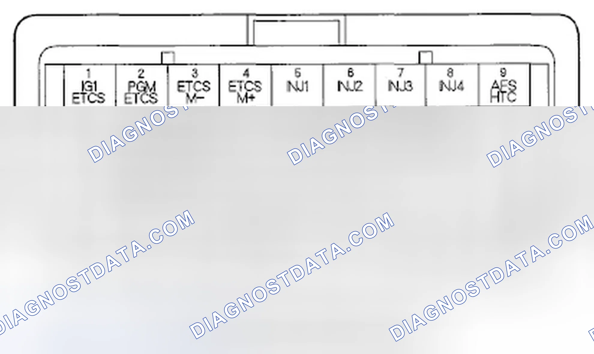 Scheme 905: ECM/PCM Inputs and Outputs at ECM/PCM Connector C (o) (44P)