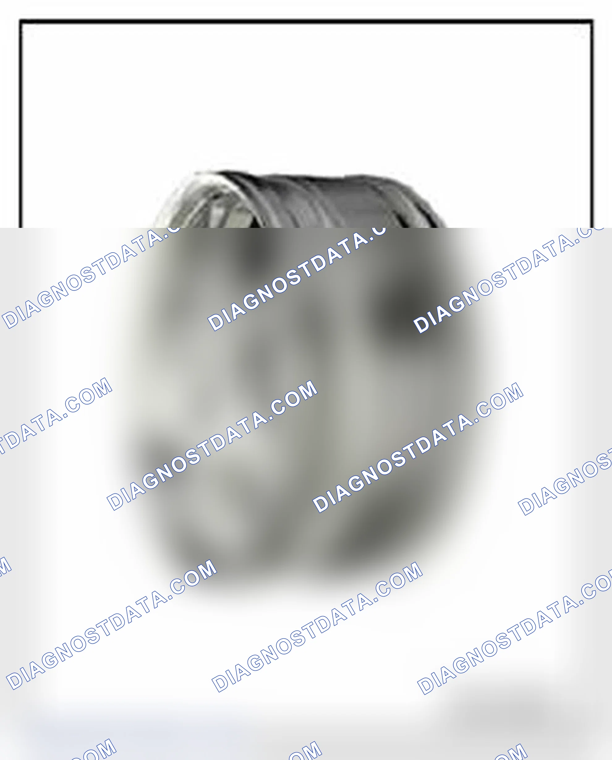 Scheme 67: PAX Tires, Rims