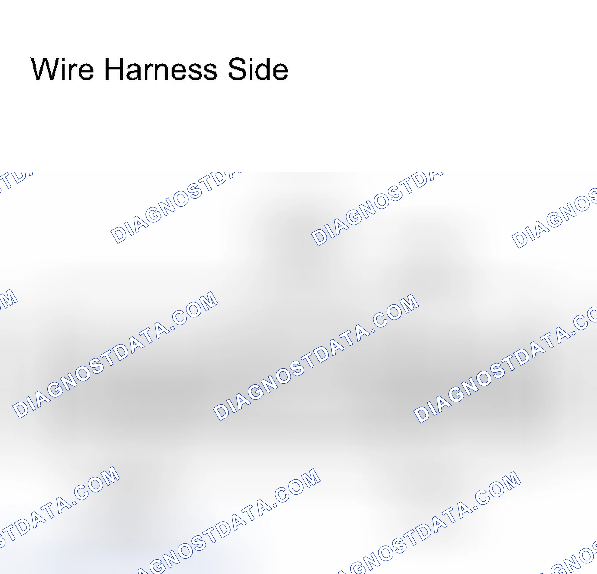 Scheme 88: INSPECTION PROCEDURE