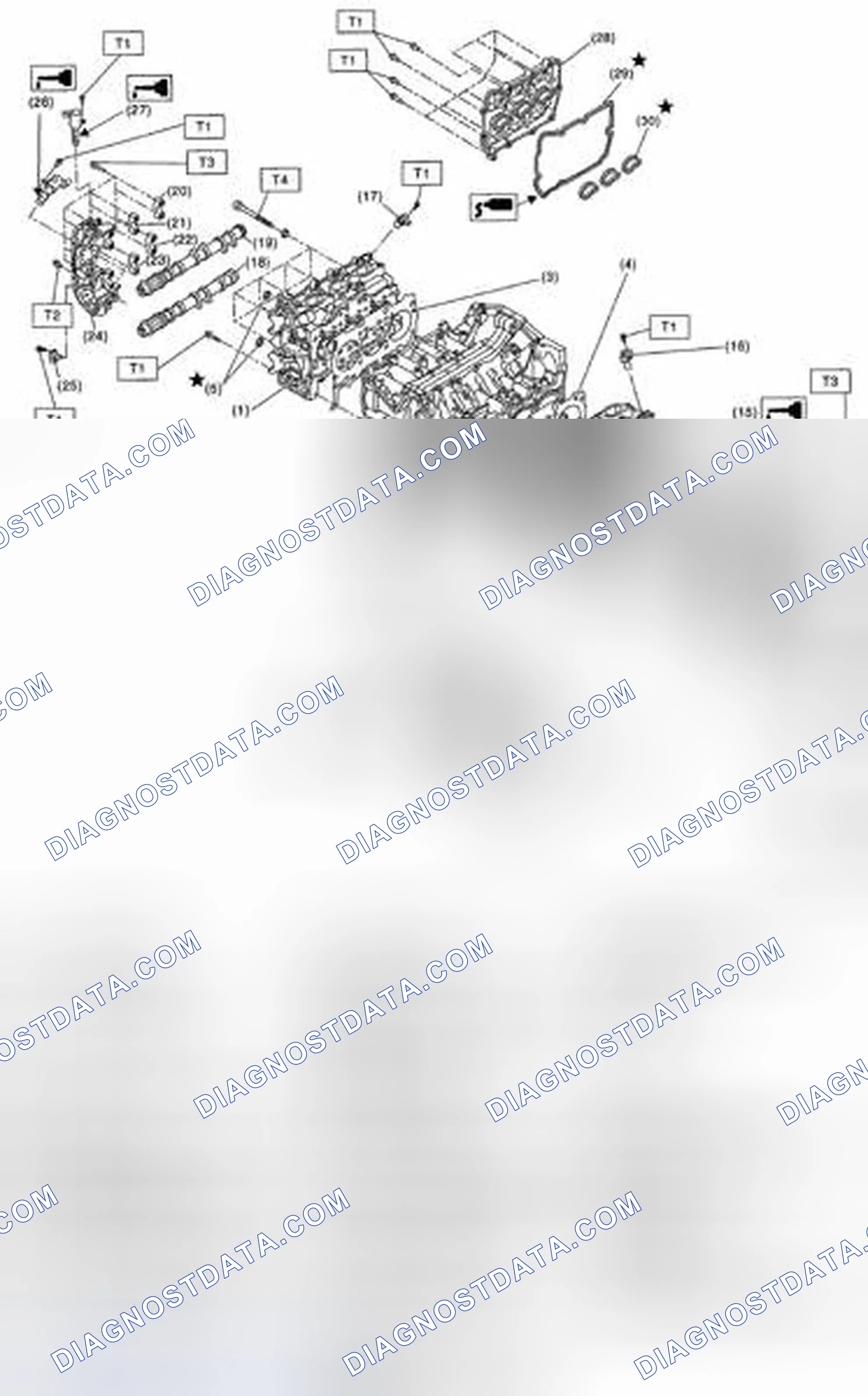 Scheme 219: CYLINDER HEAD AND CAMSHAFT
