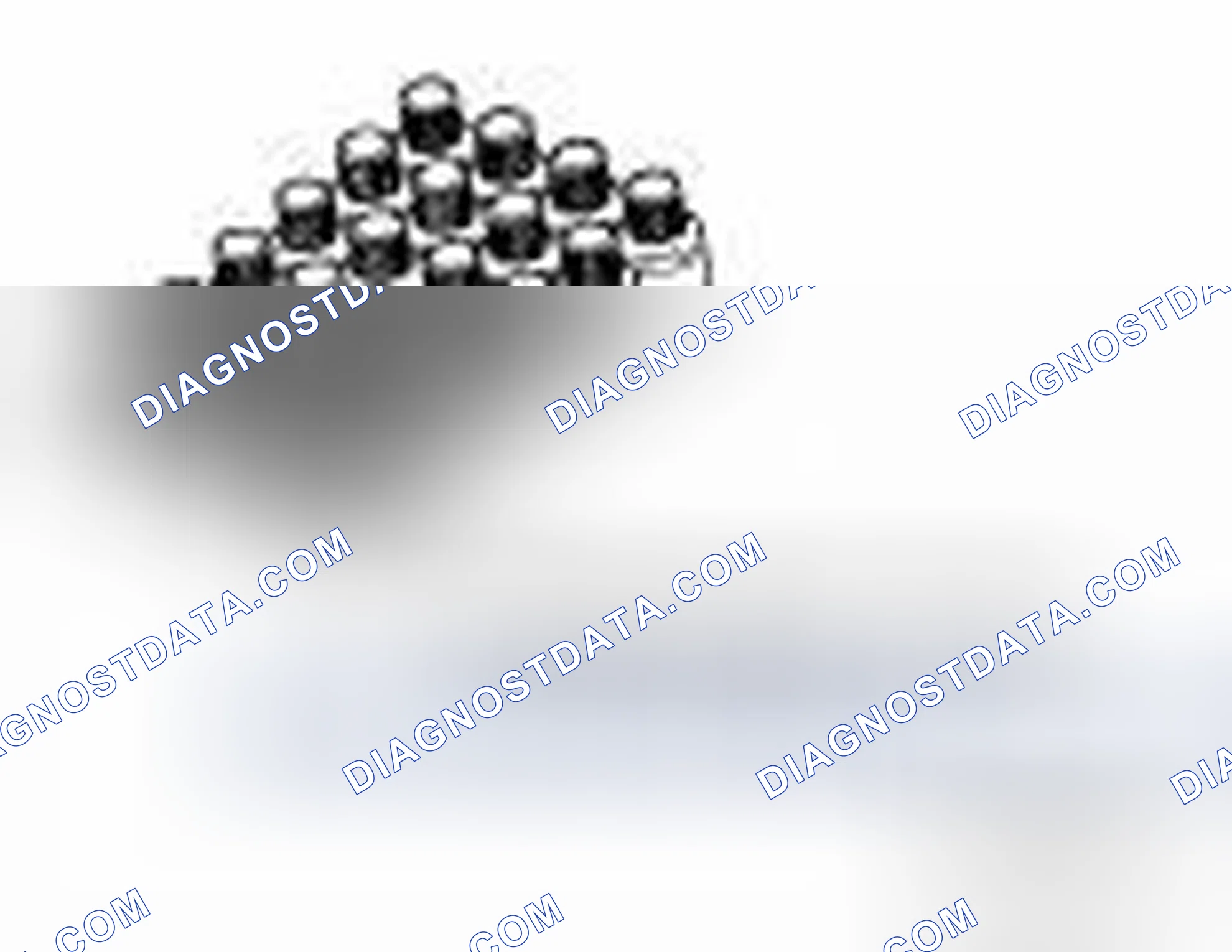 Scheme 294
