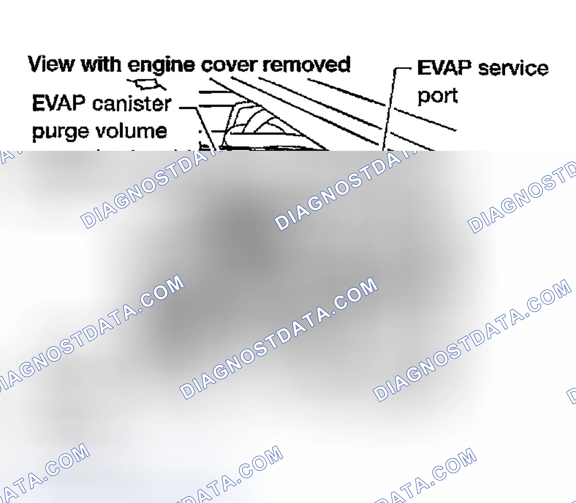 Scheme 221: Diagnostic Procedure
