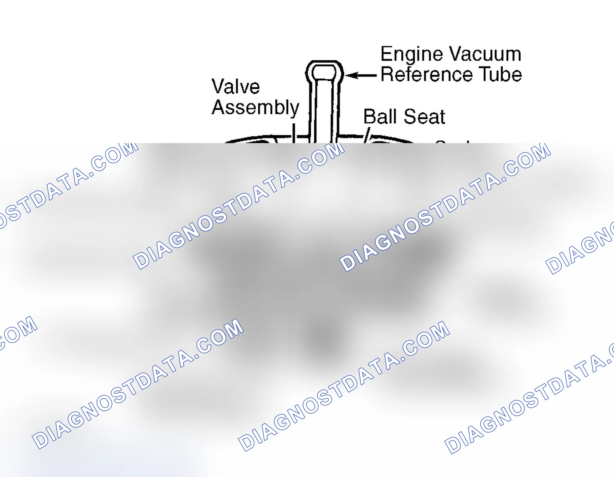 Scheme 247: Fuel Pressure Regulator (Gasoline)