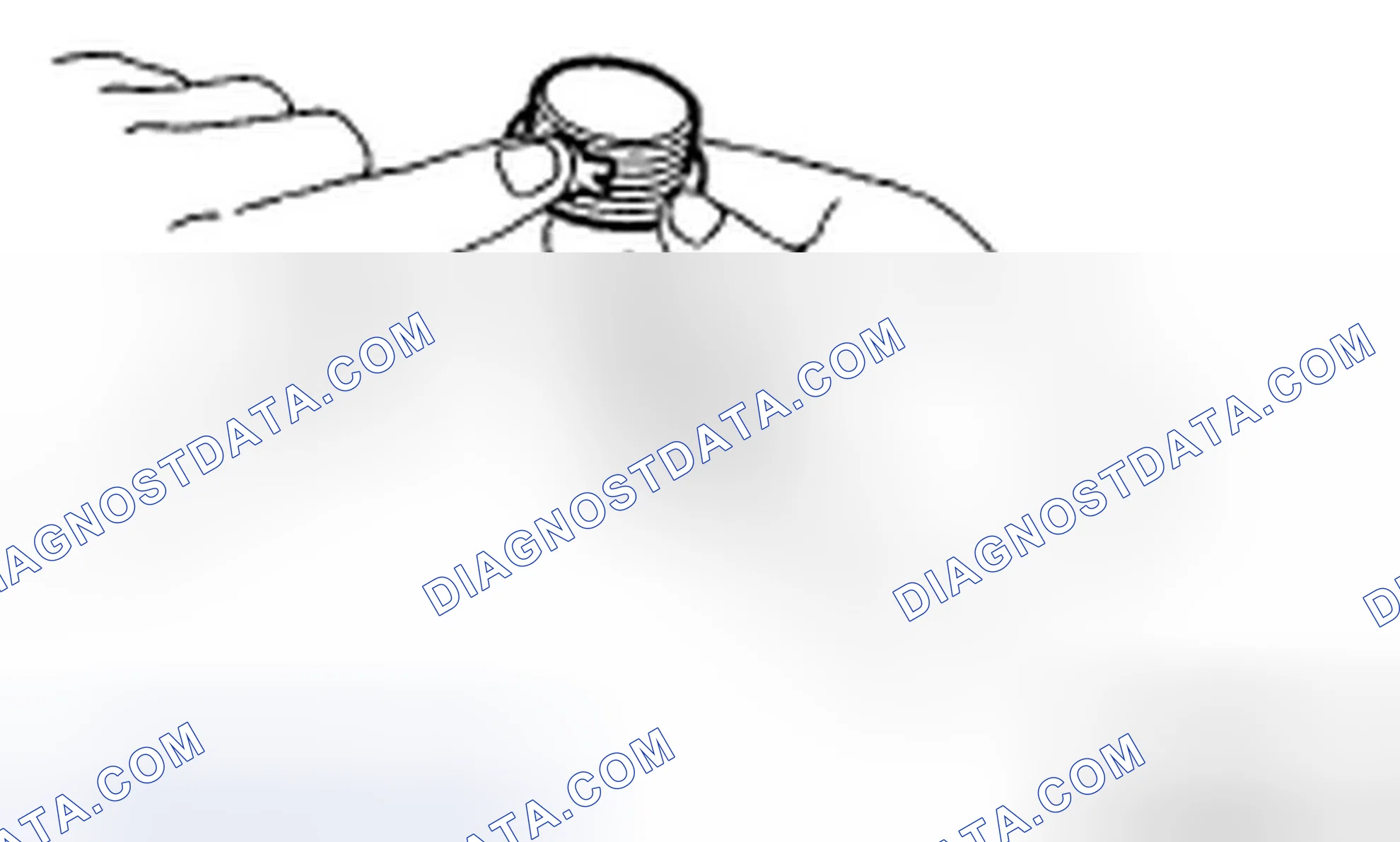 Scheme 404
