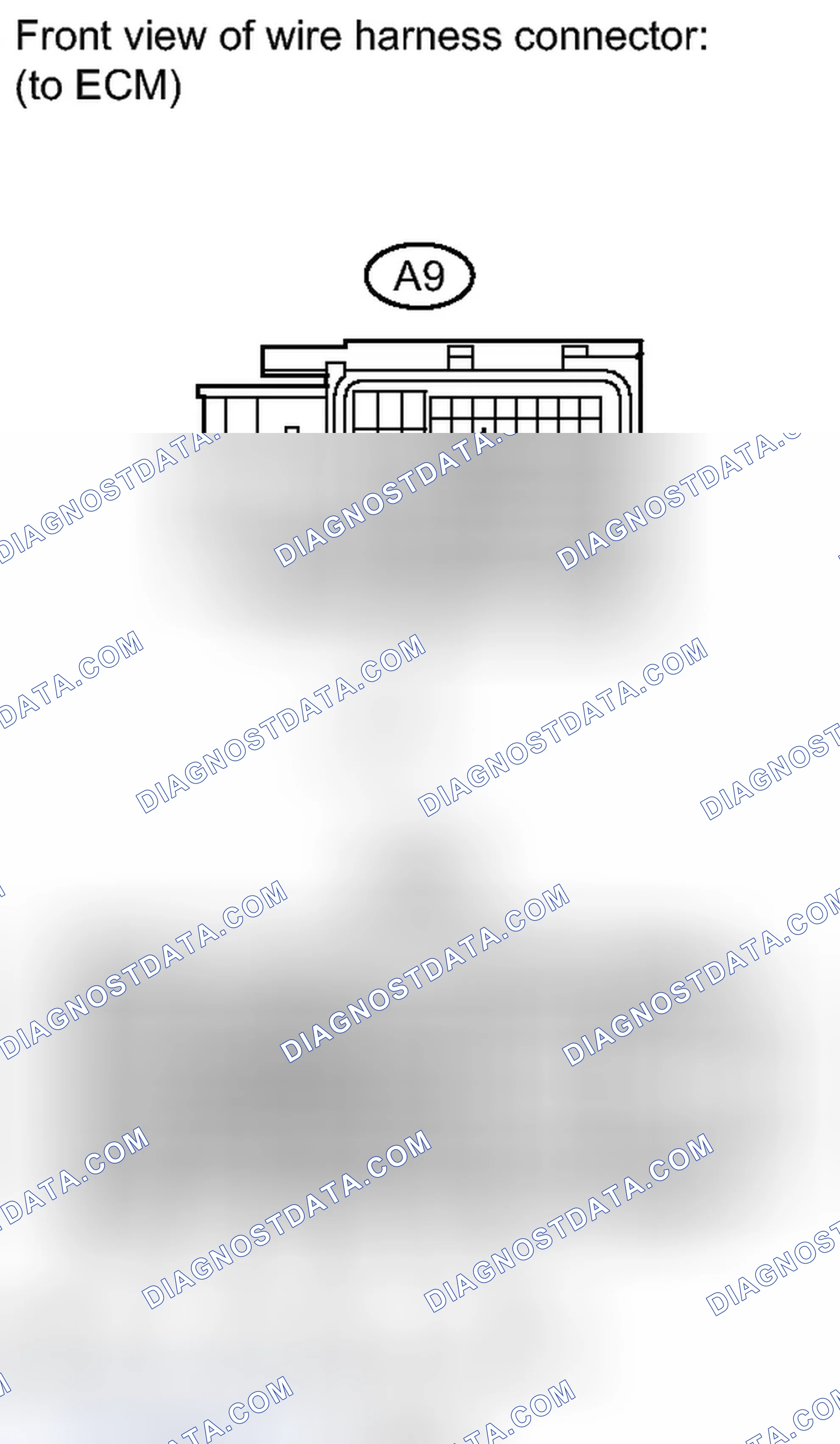 Scheme 1787