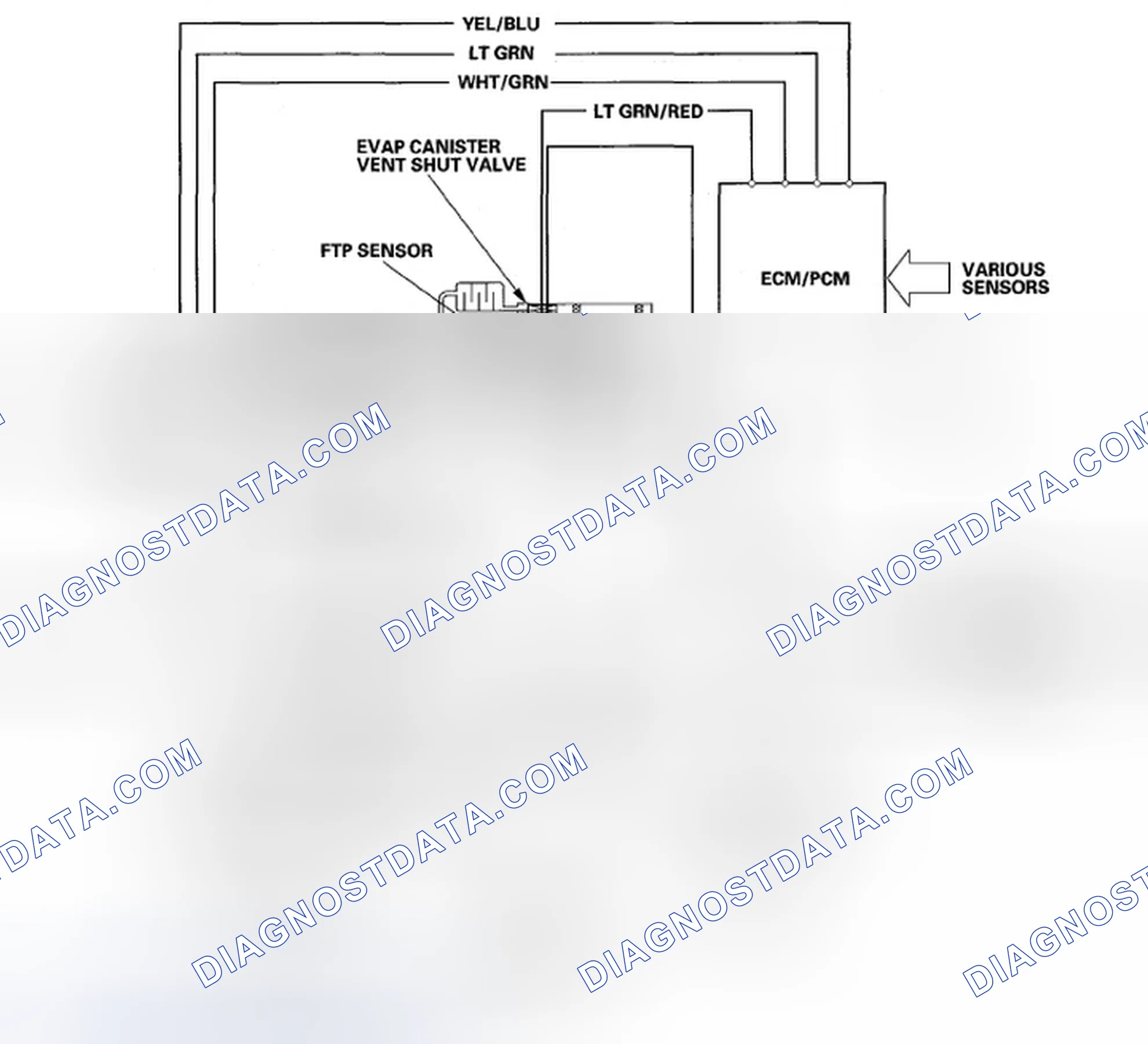 Scheme 78: Evaporative Emission (EVAP) Control Diagram