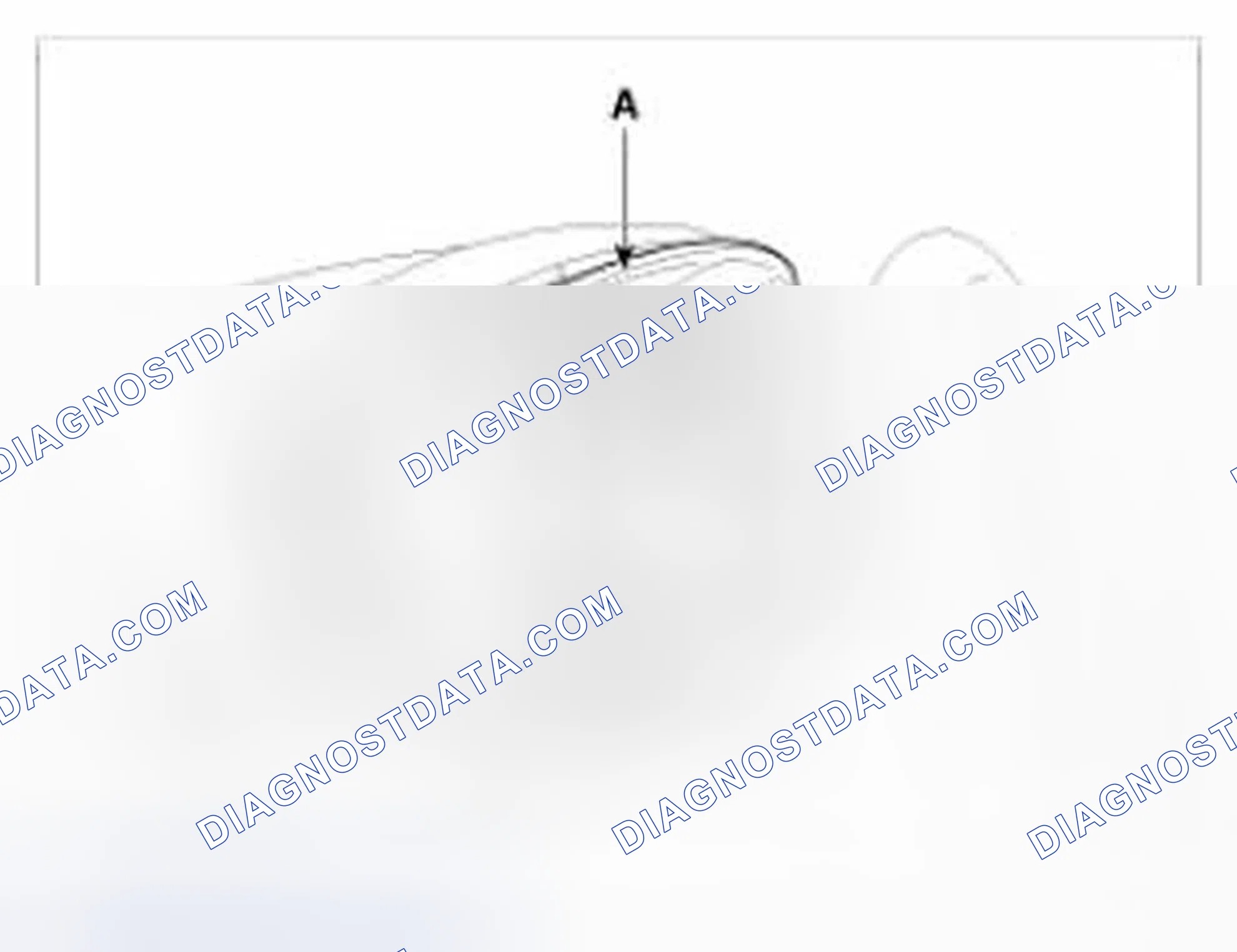 Scheme 14: Wiper and Washer Switch