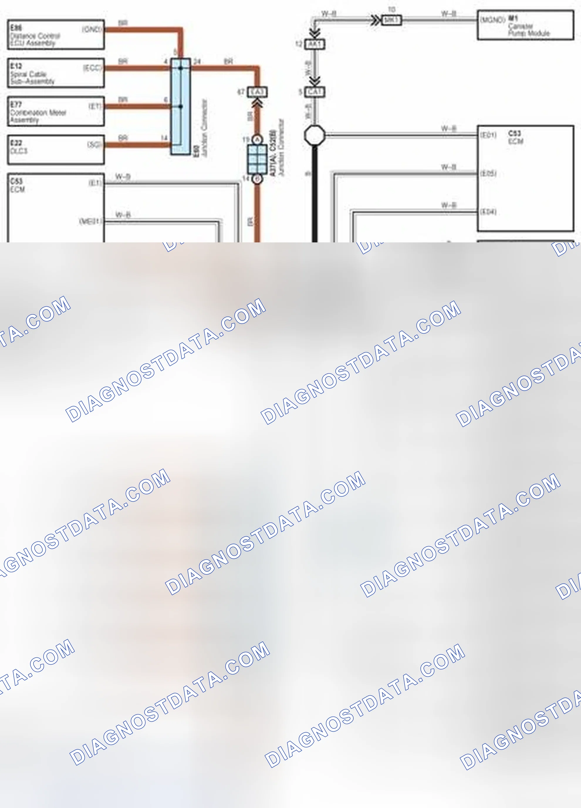 Scheme 255