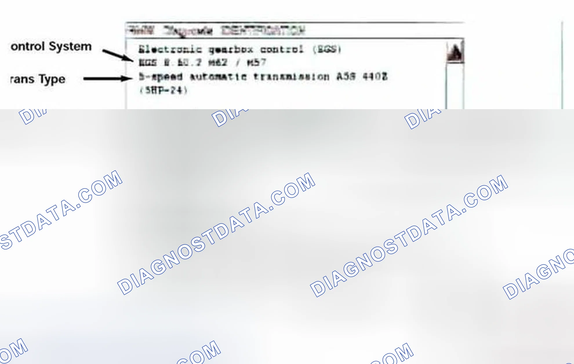 Scheme 293: Identification Page