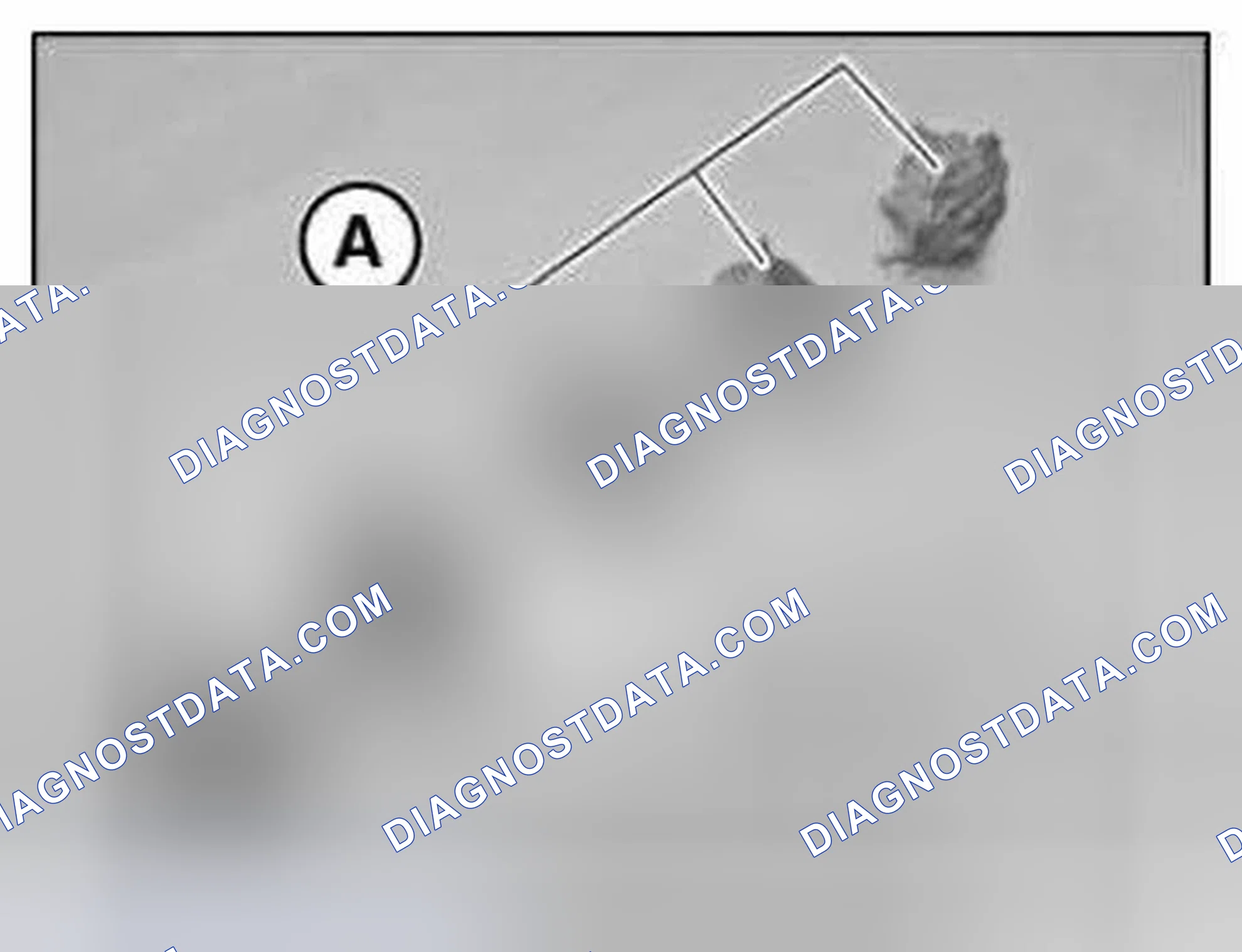 Scheme 73: Processing