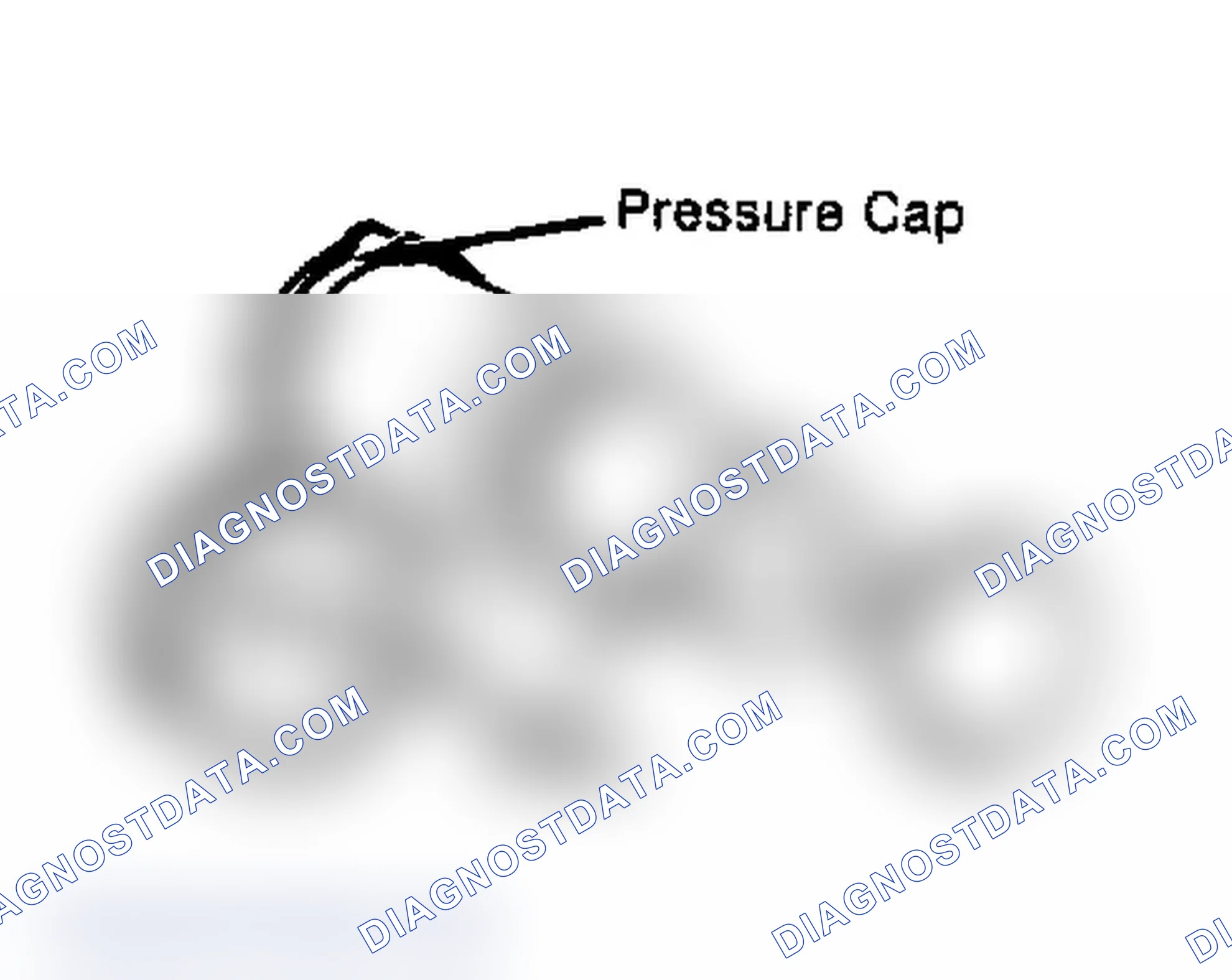 Scheme 2: Testing Radiator Pressure Cap Wet cap gasket before testing.