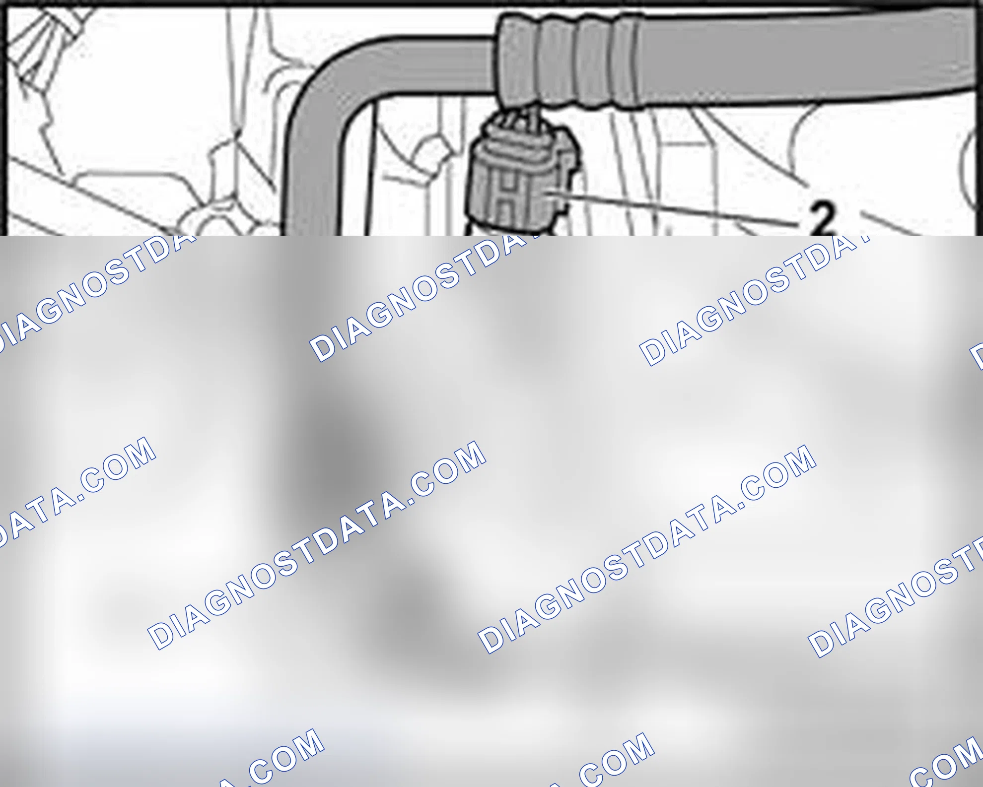 Scheme 316