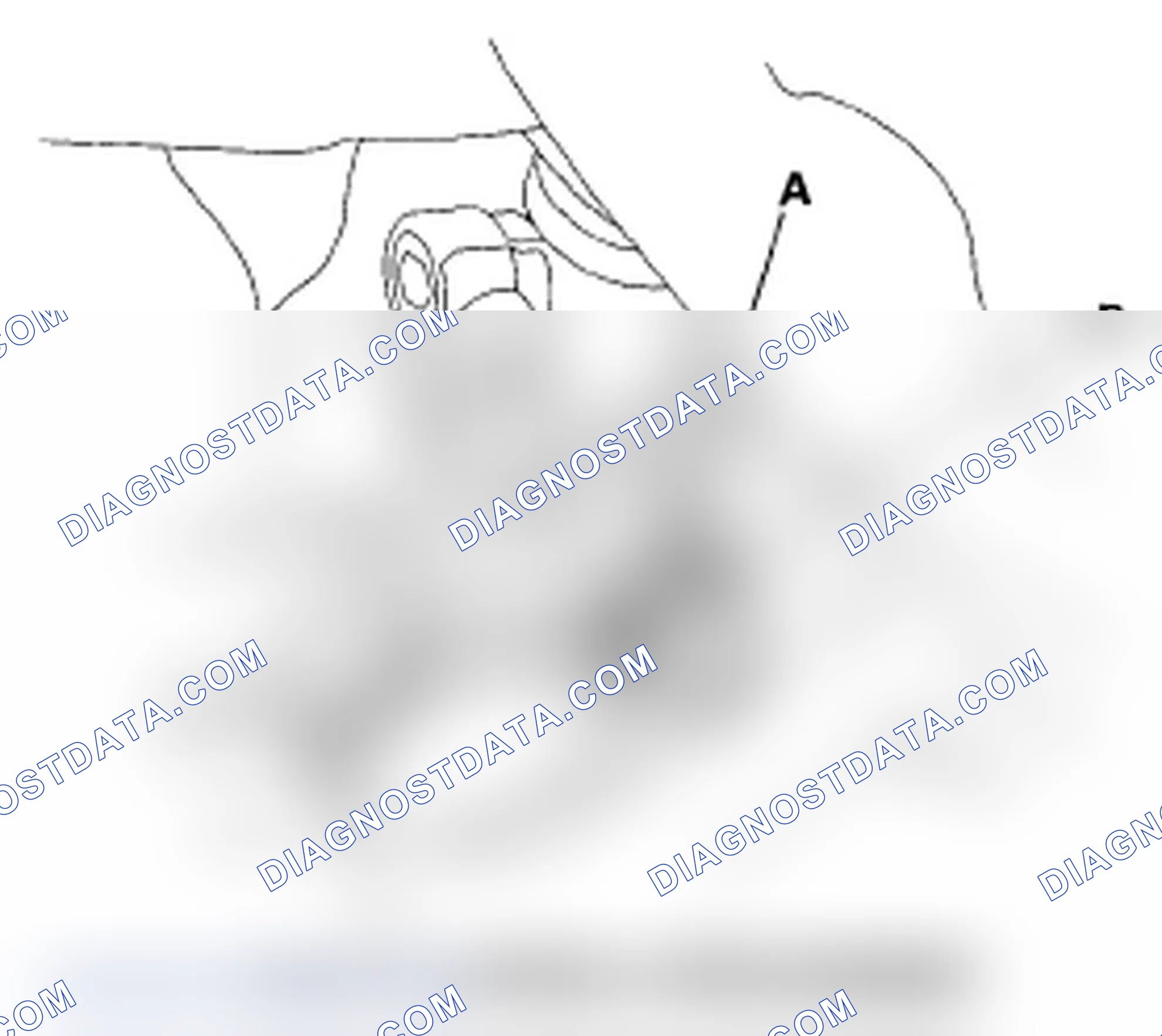 Scheme 53: Rack Guide Adjustment