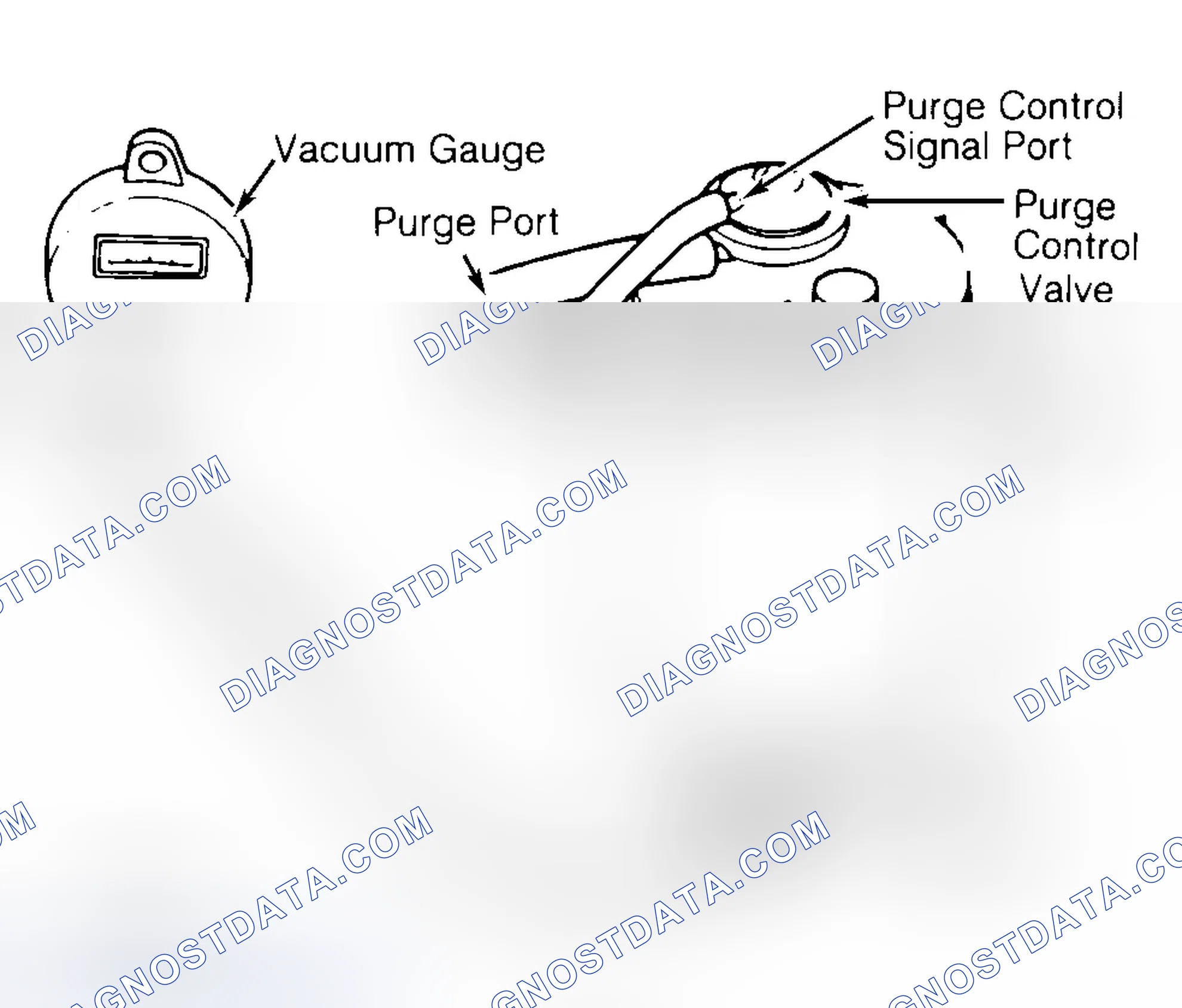 Scheme 125: EVAP Canister