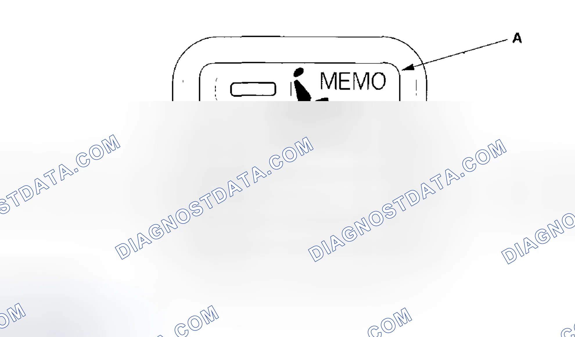 Scheme 13: Displaying the Diagnostic Trouble Code (DTC)