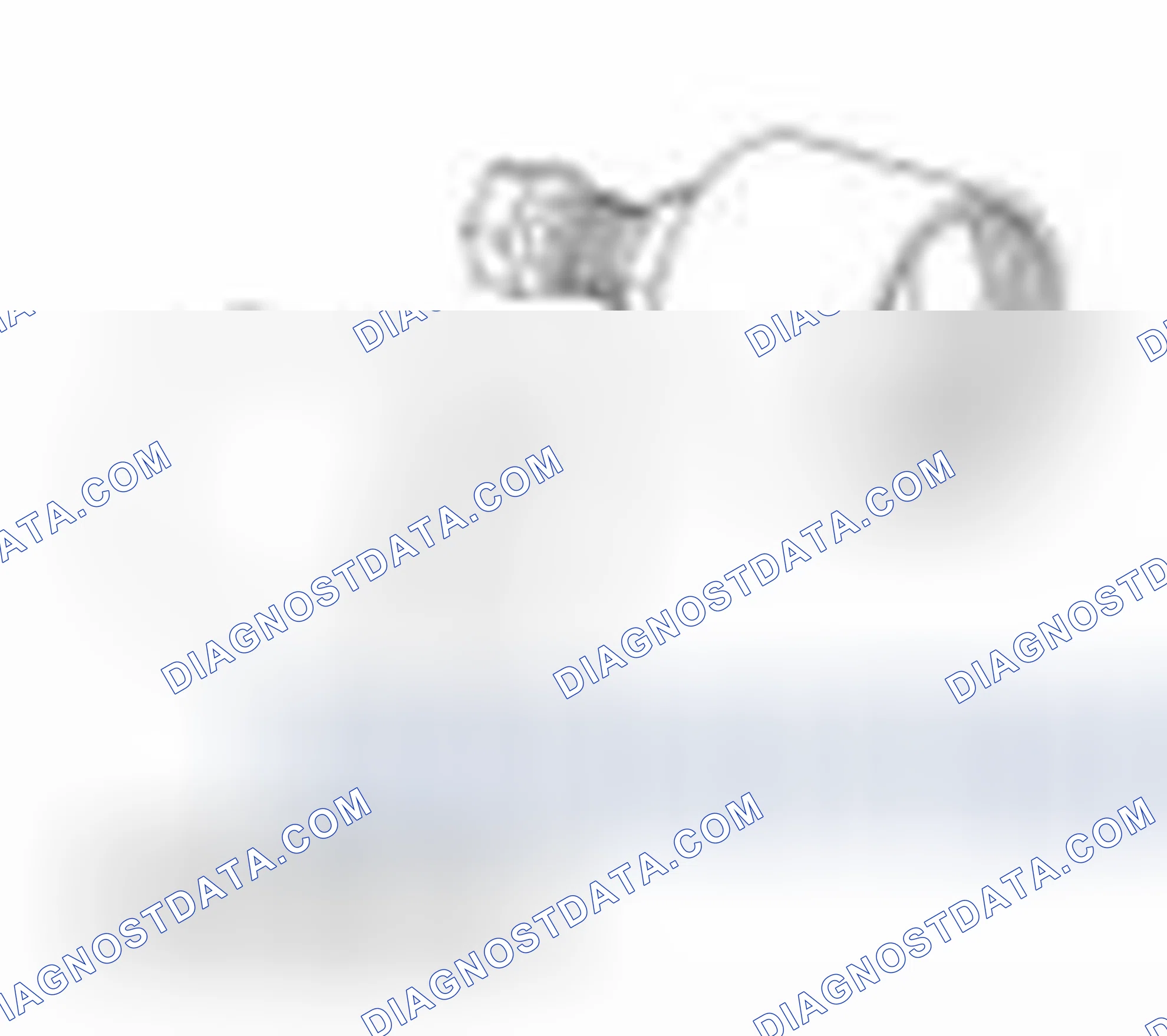 Scheme 312: Special Tool(s)