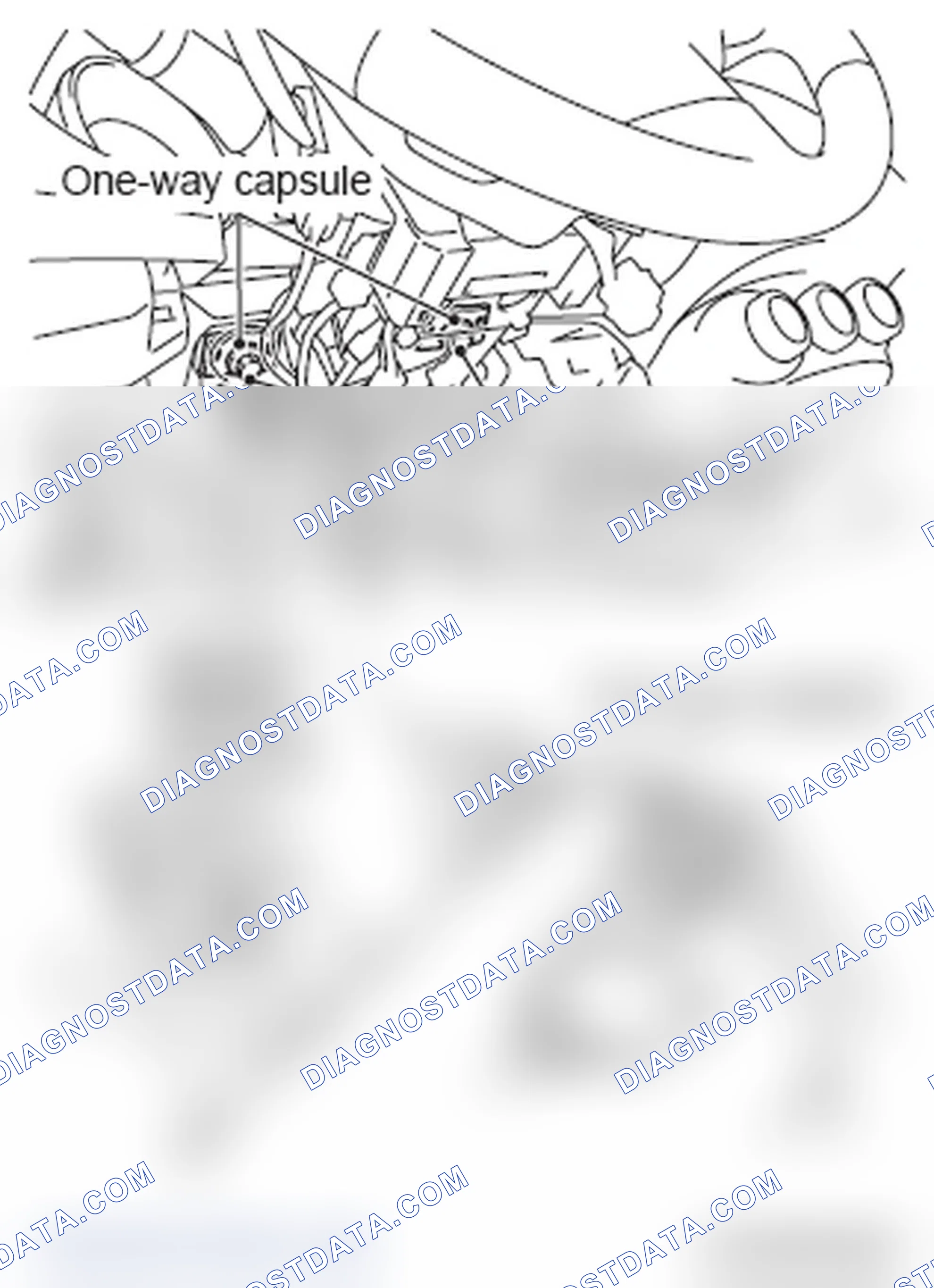 Scheme 42: INSPECTION PROCEDURE