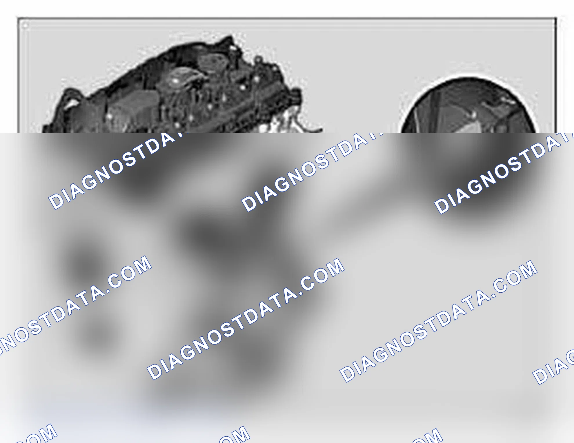 Scheme 96: Engine Identification