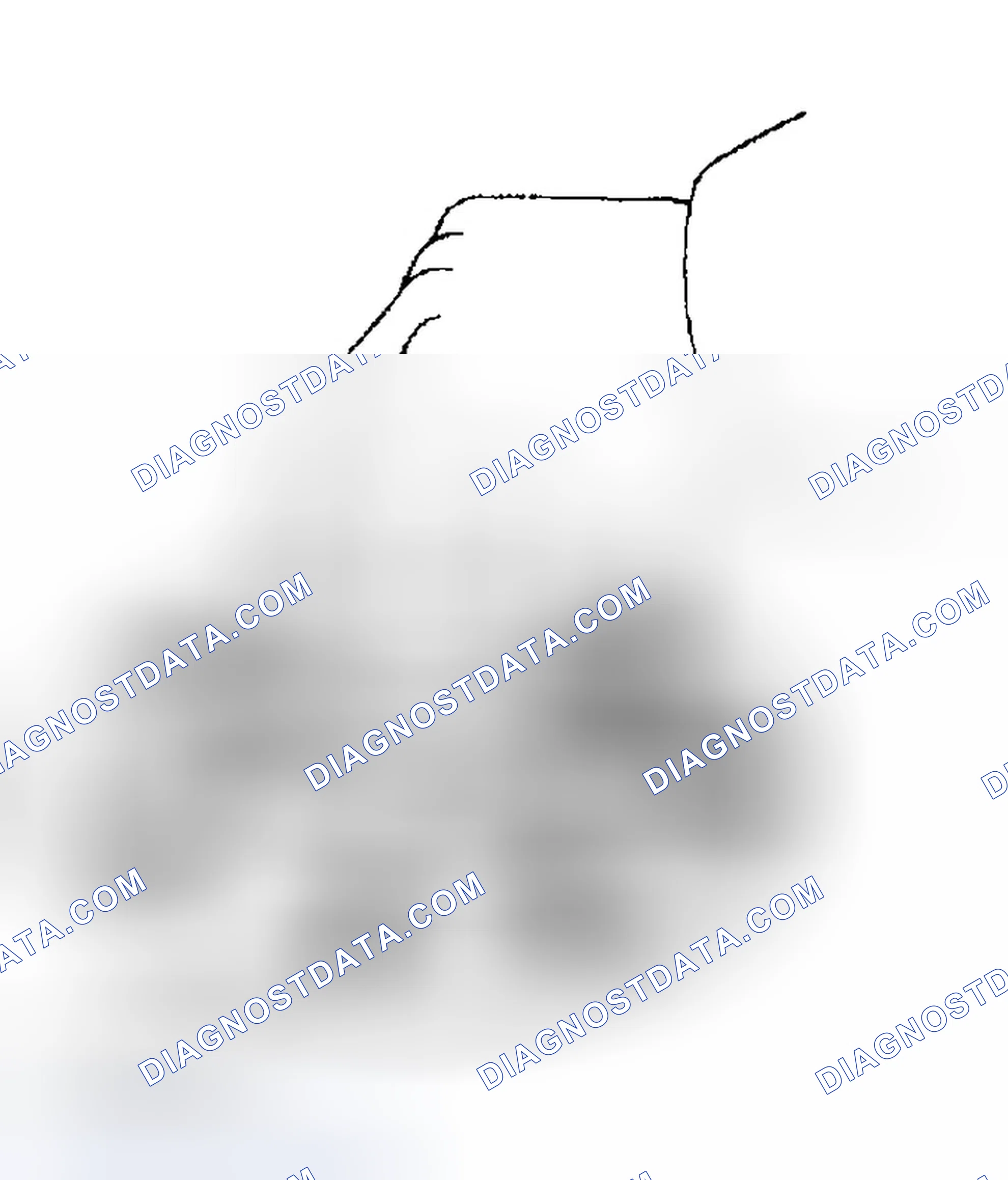 Scheme 42: INSPECTION PROCEDURE