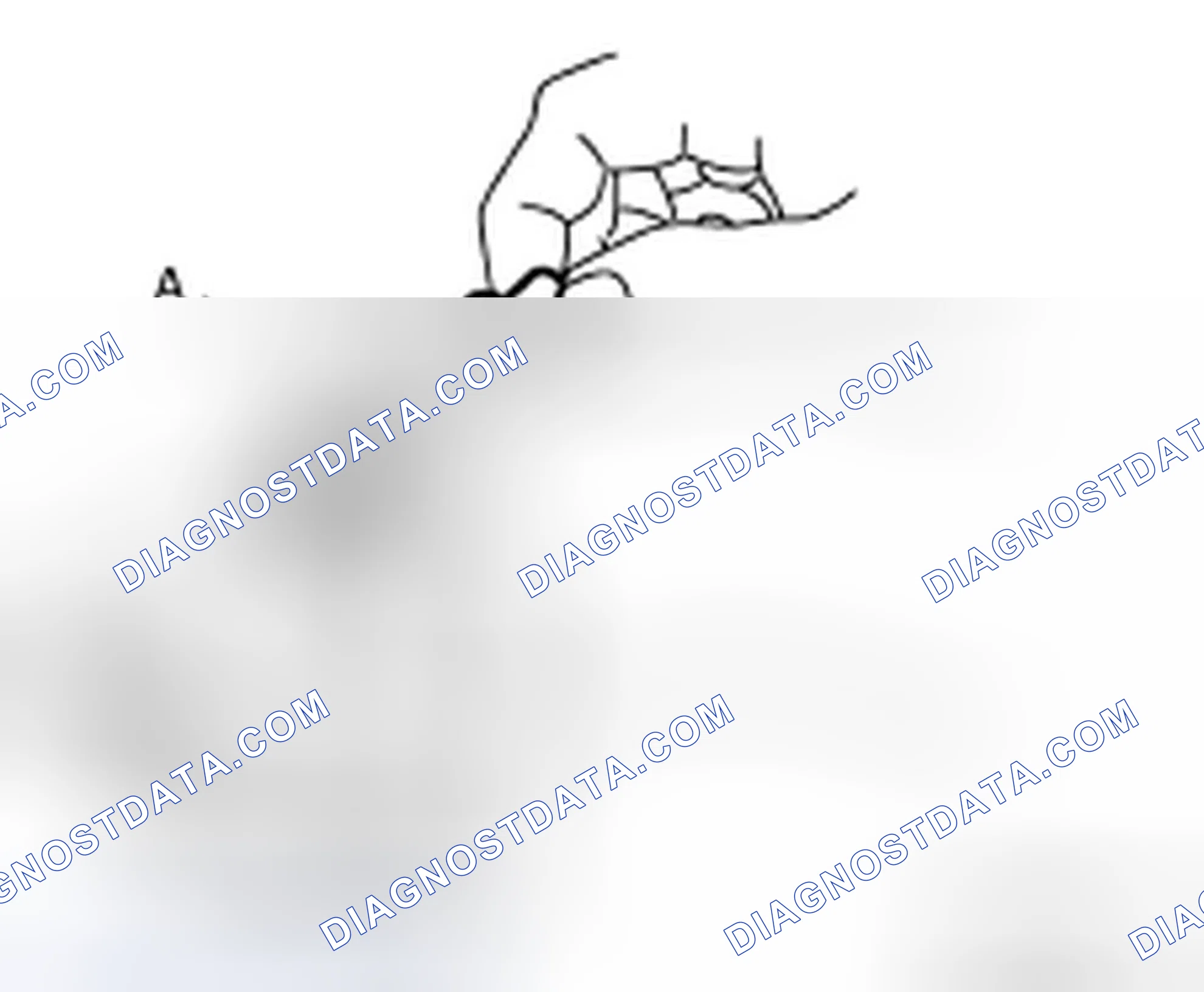 Scheme 4
