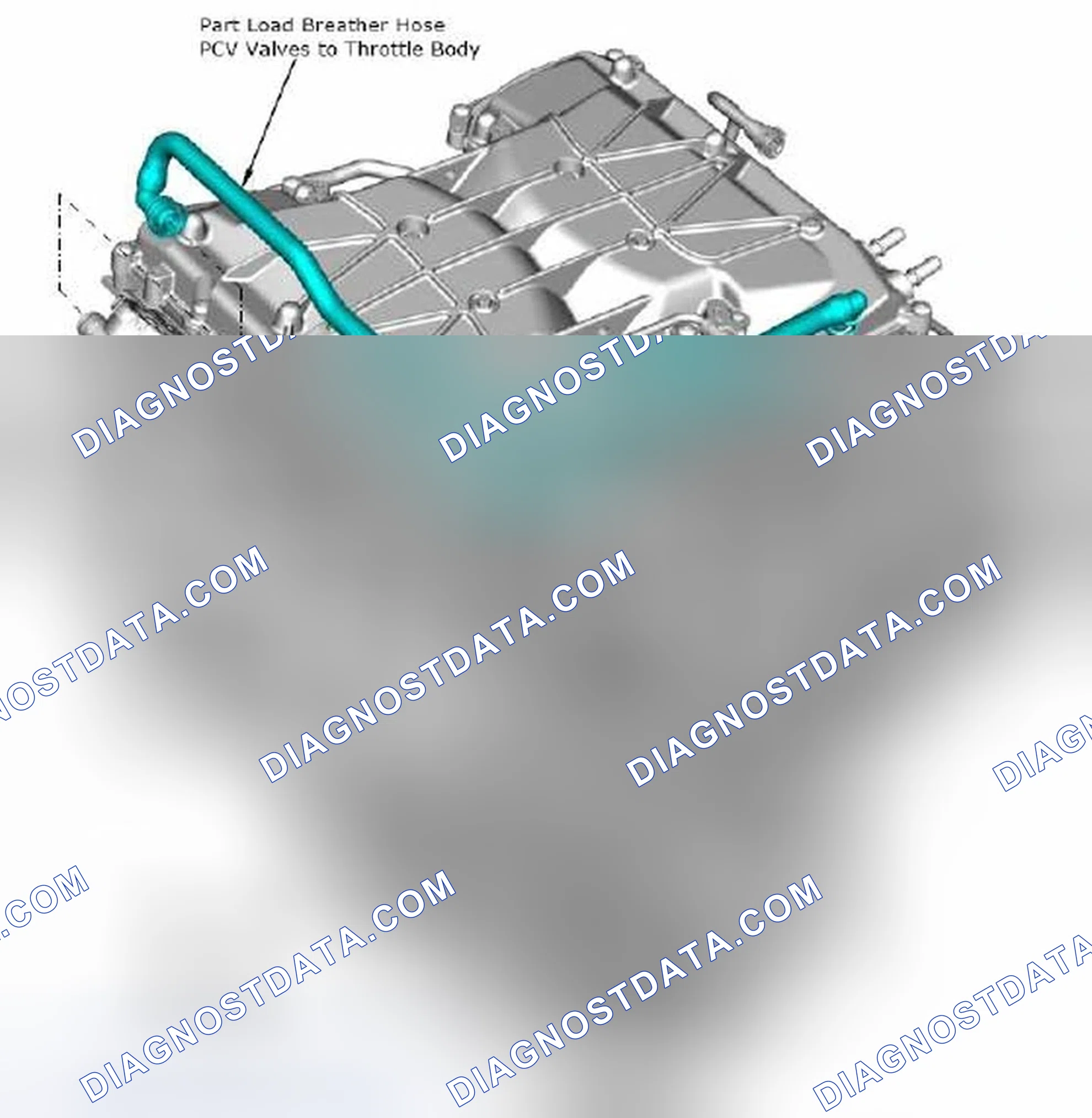 Scheme 125: 4.7.3 PCV Valve Location and Hose Layout for the Supercharged Engine