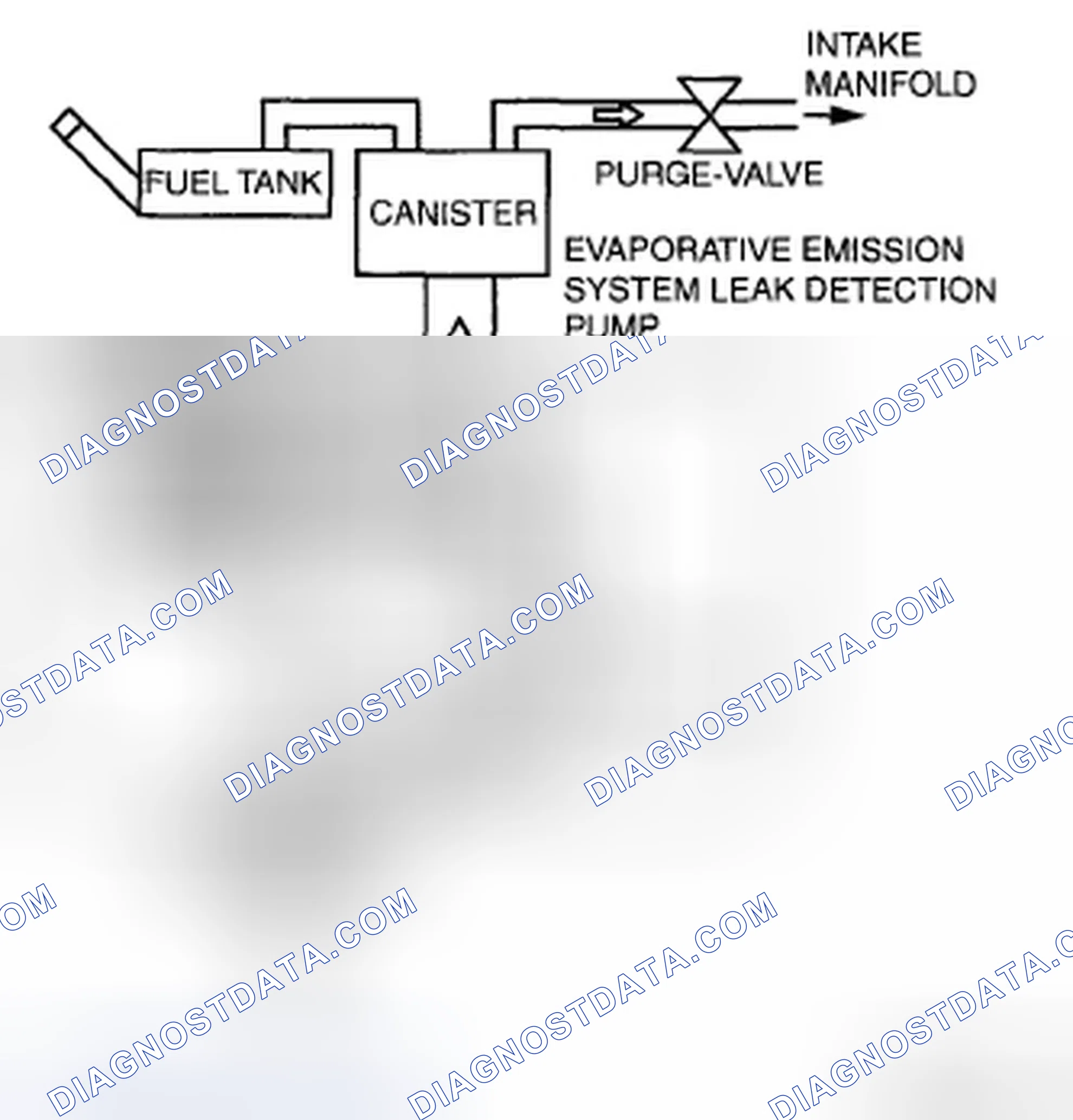 Scheme 17: EVAP system malfunction judgment