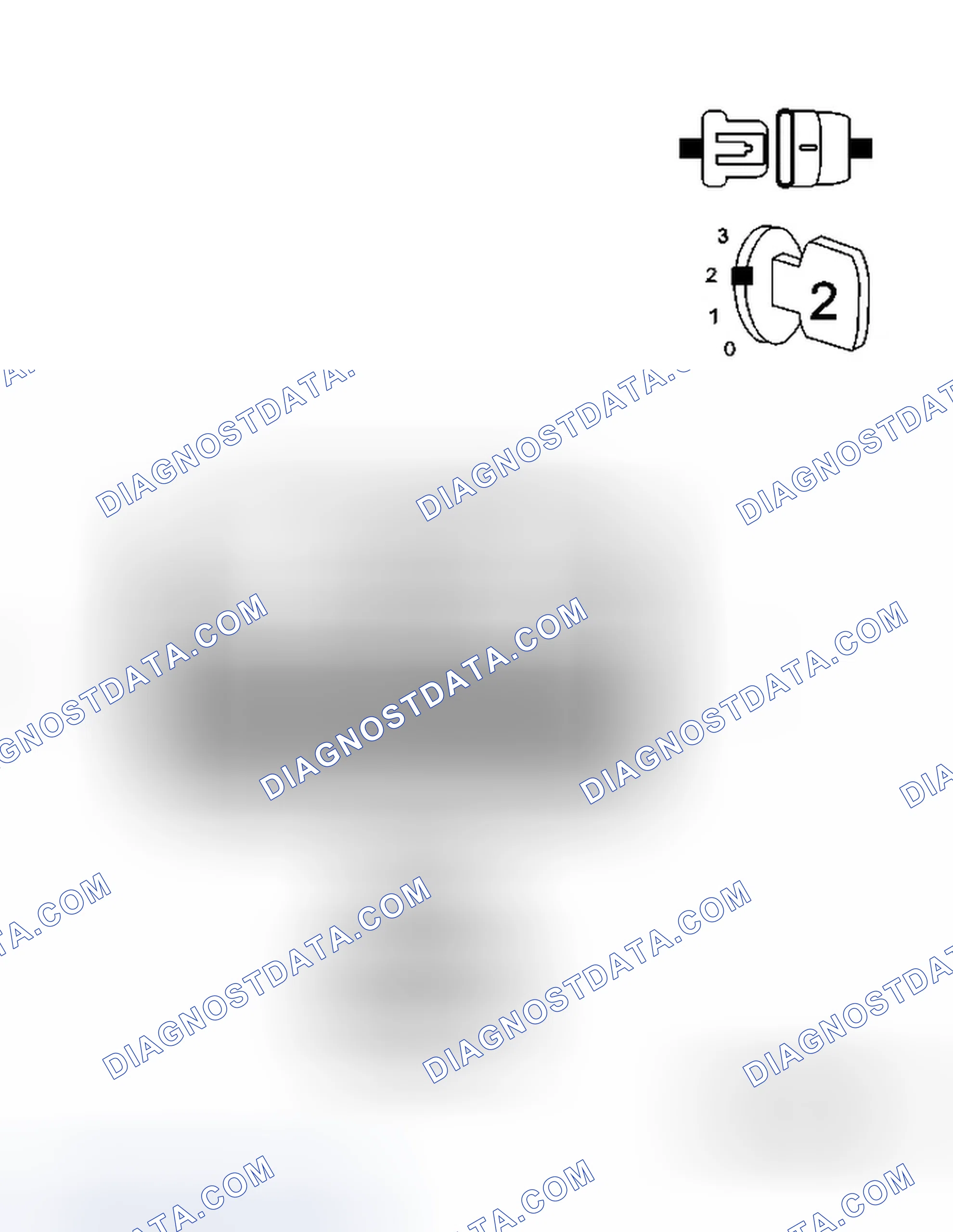 Scheme 47: Diagnostic Test