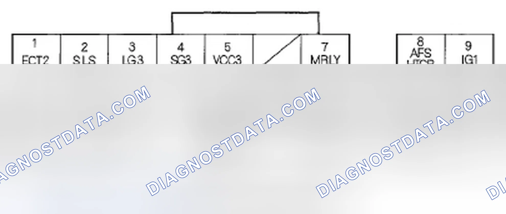 Scheme 53: ECM/PCM Inputs and Outputs at Connector E (31P)