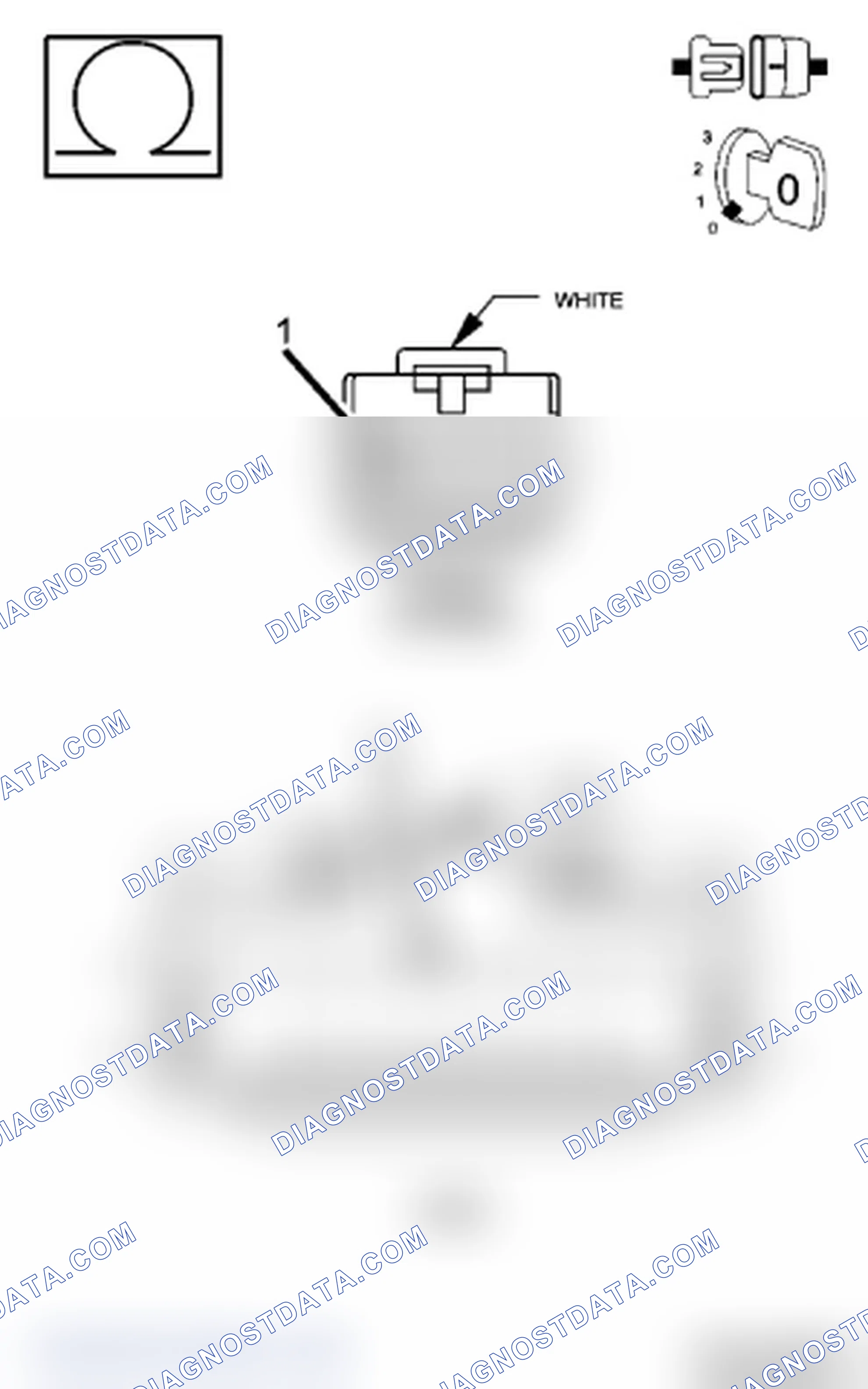 Scheme 22: Diagnostic Test