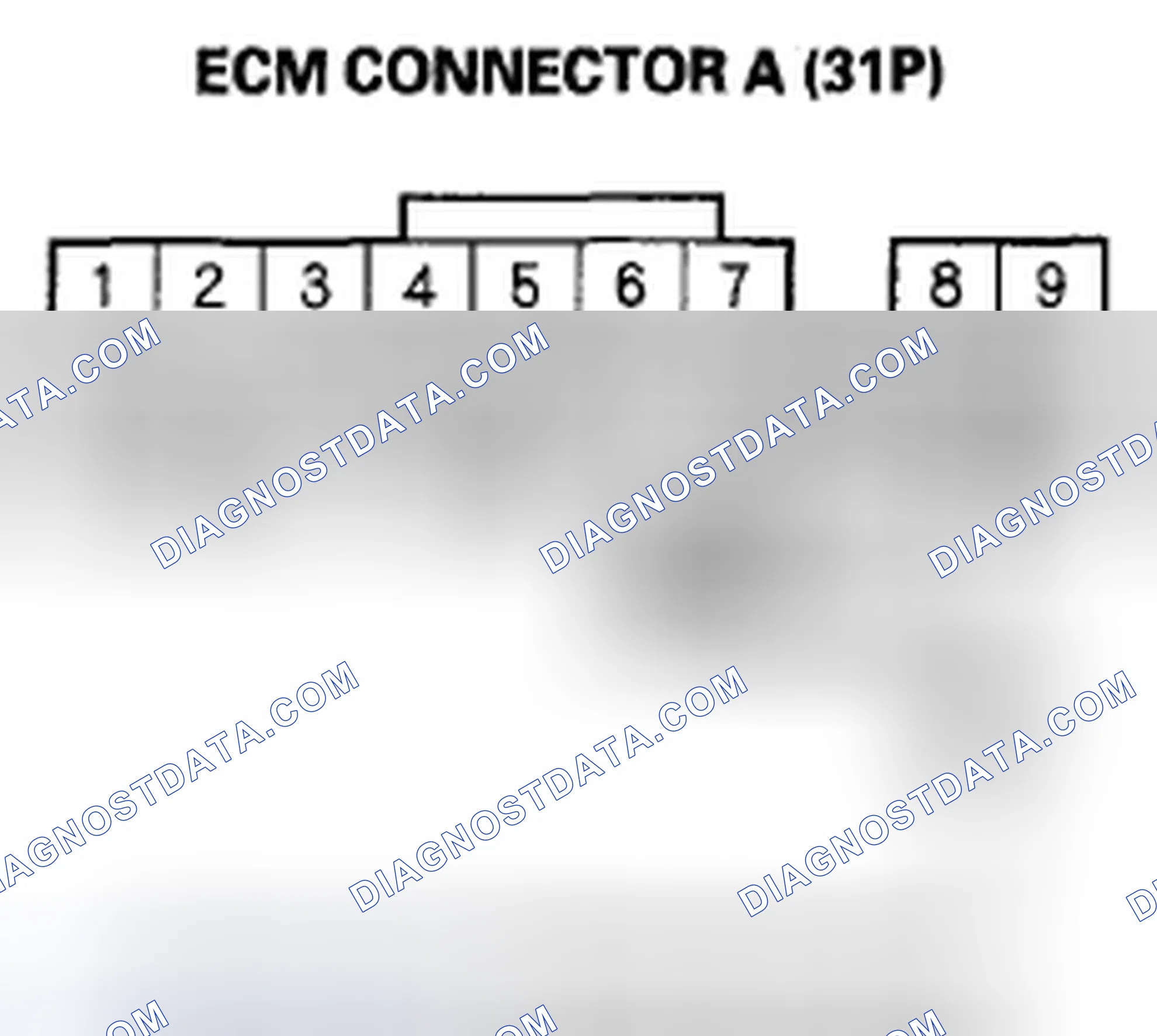 Scheme 373