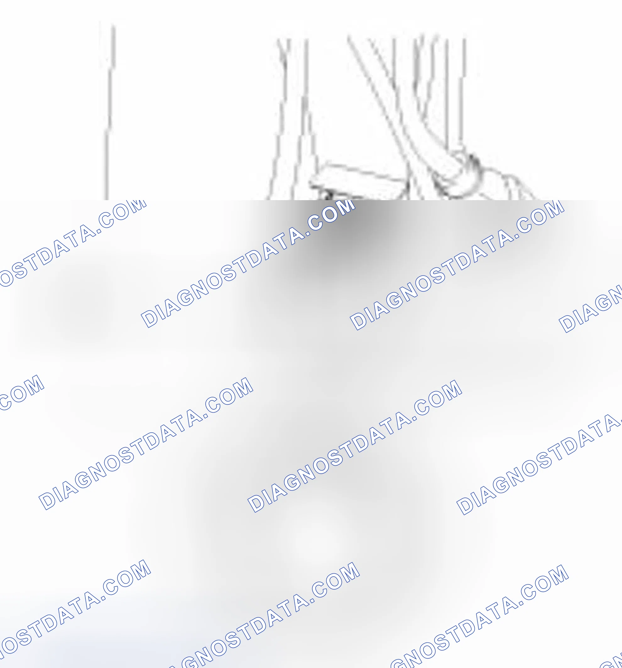 Scheme 21: Inspection