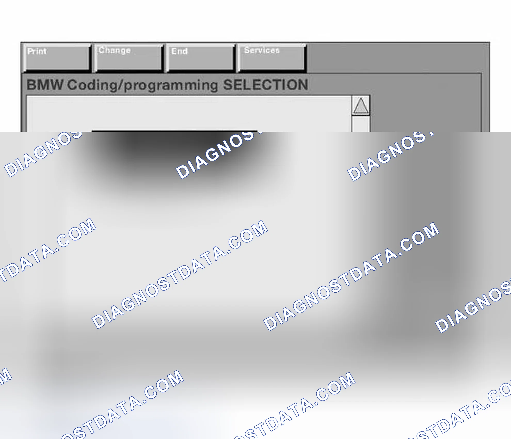 Scheme 219